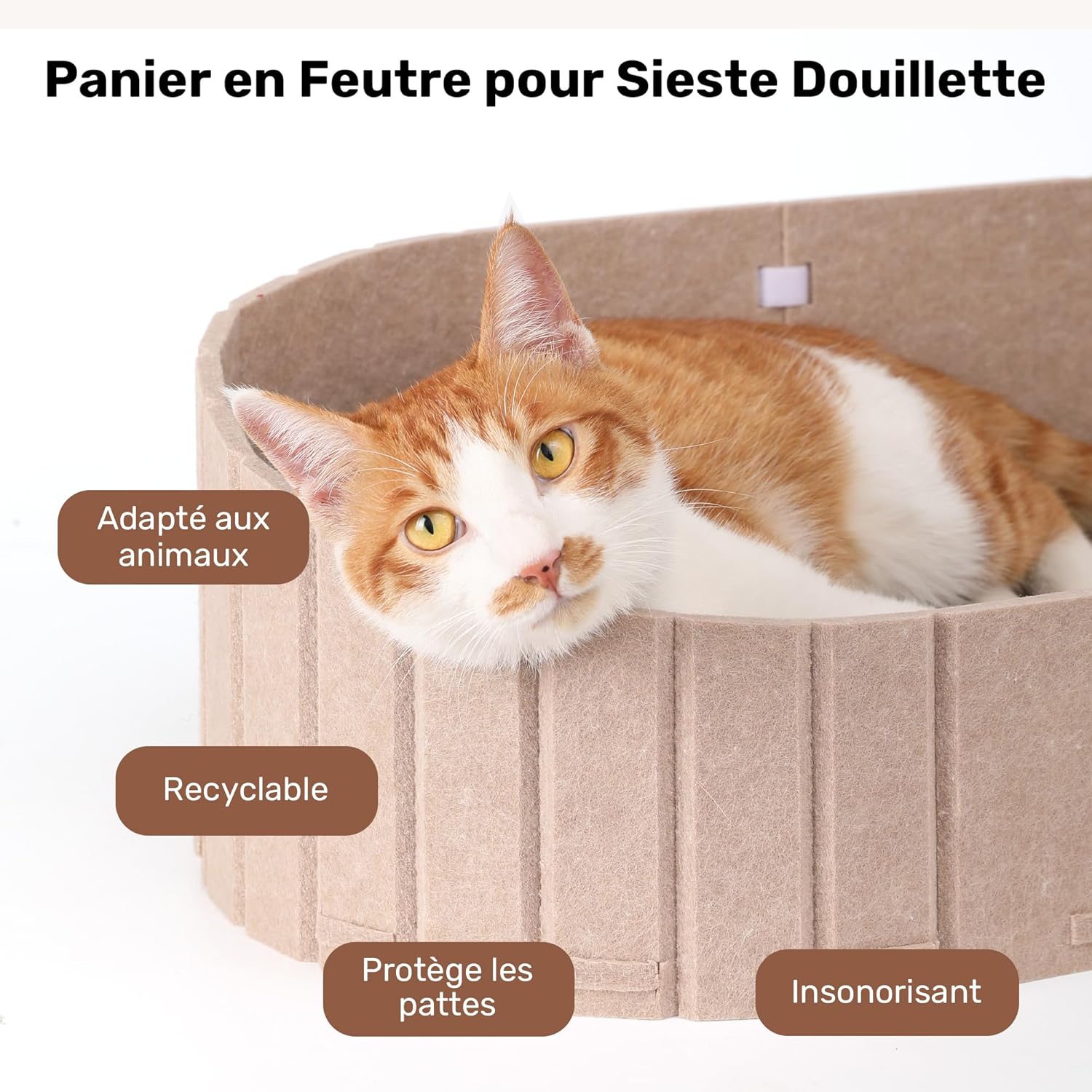 Thumbnail 5 de FUKUMARU Griffoir pour chat 61 cm 🐾