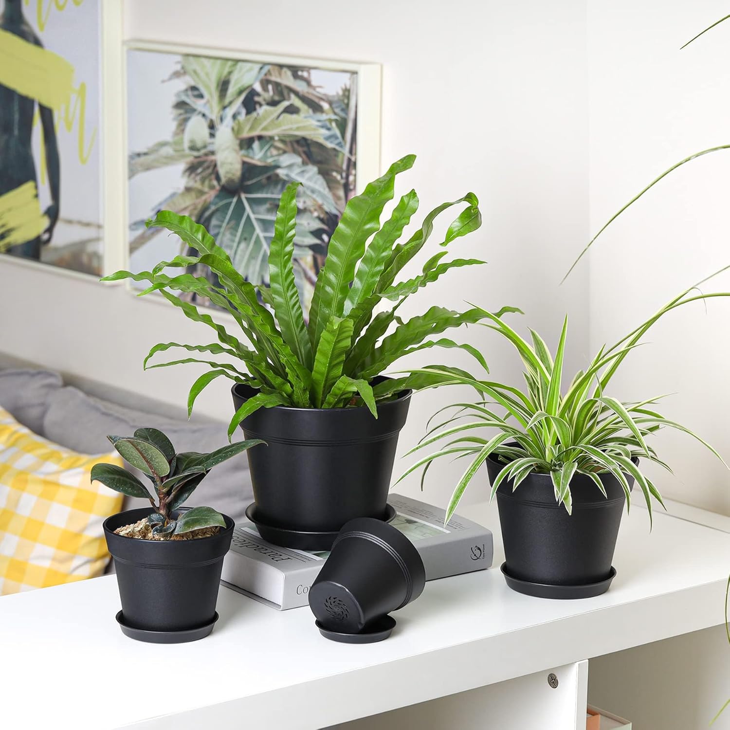 Thumbnail 6 de T4U Set di Vasi da Interno 19 cm con Sottovaso Nero – 6 Vasi Rotondi in Plastica con Fori di Drenaggio