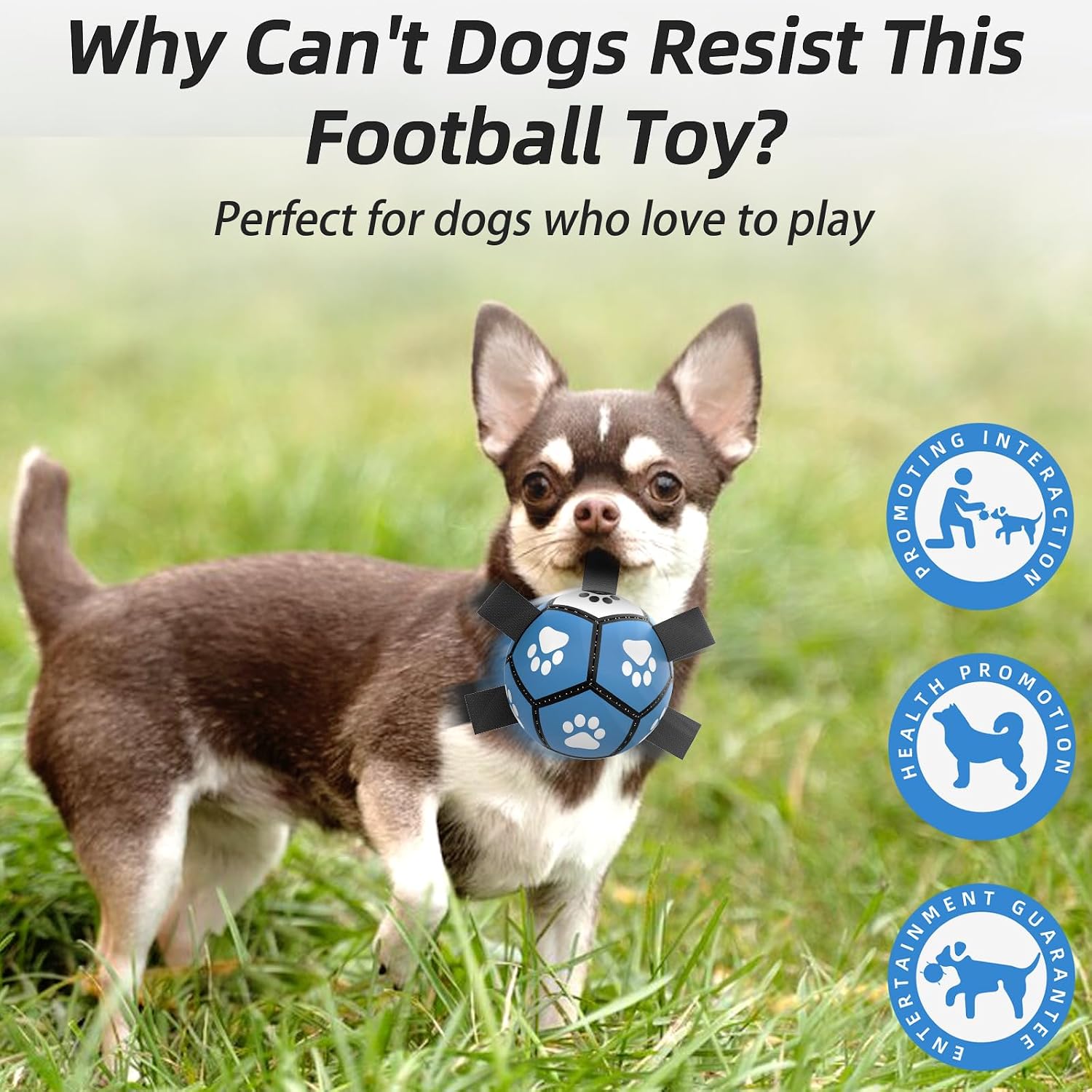 Detalle de HETOO Interactive Dog Football Toys with Webbing – 5 Inch Dog Water Ball for Small to Medium Breeds (Blue/Gray)
