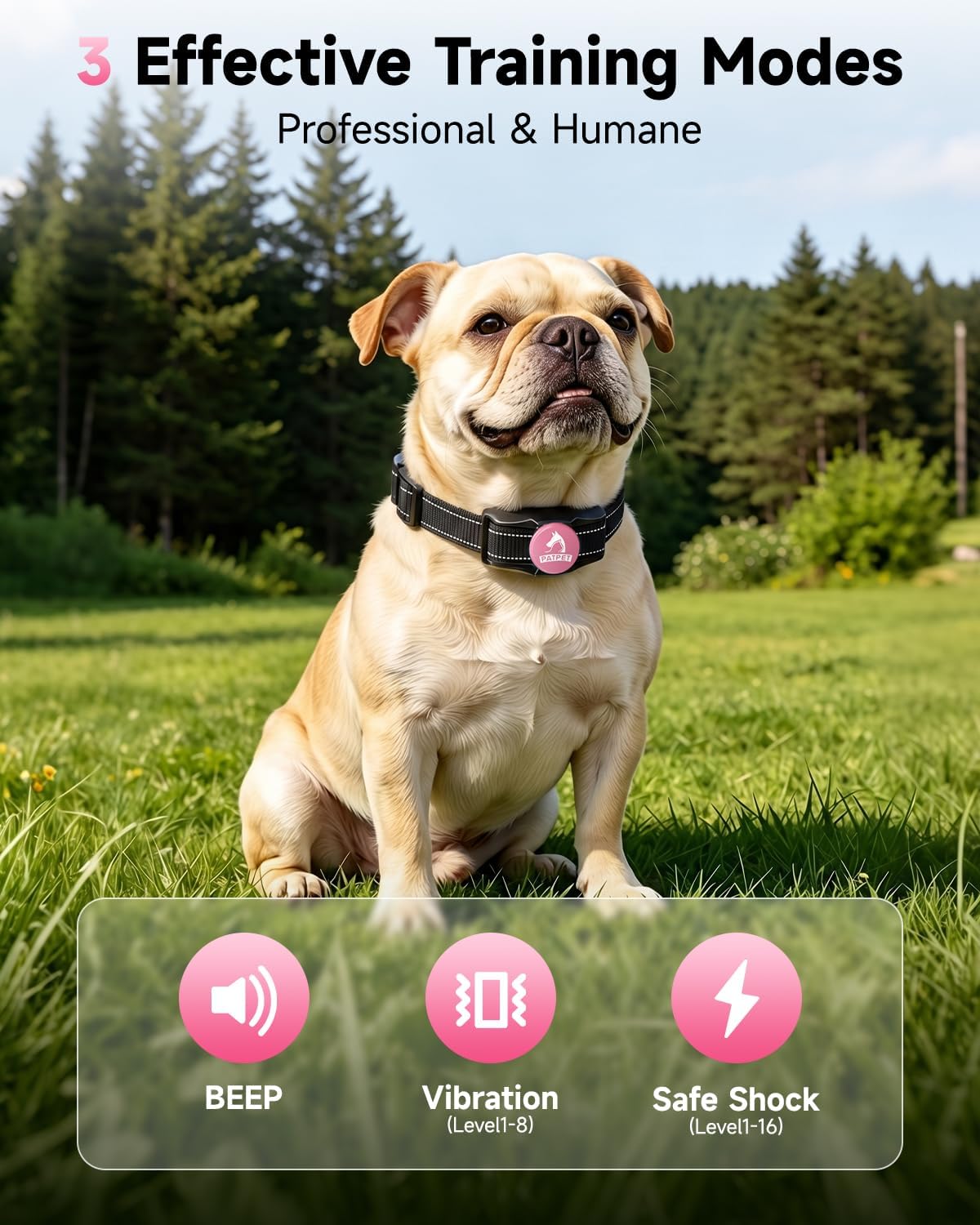 Detalle 2 de PATPET Dog Training Collar IPX7