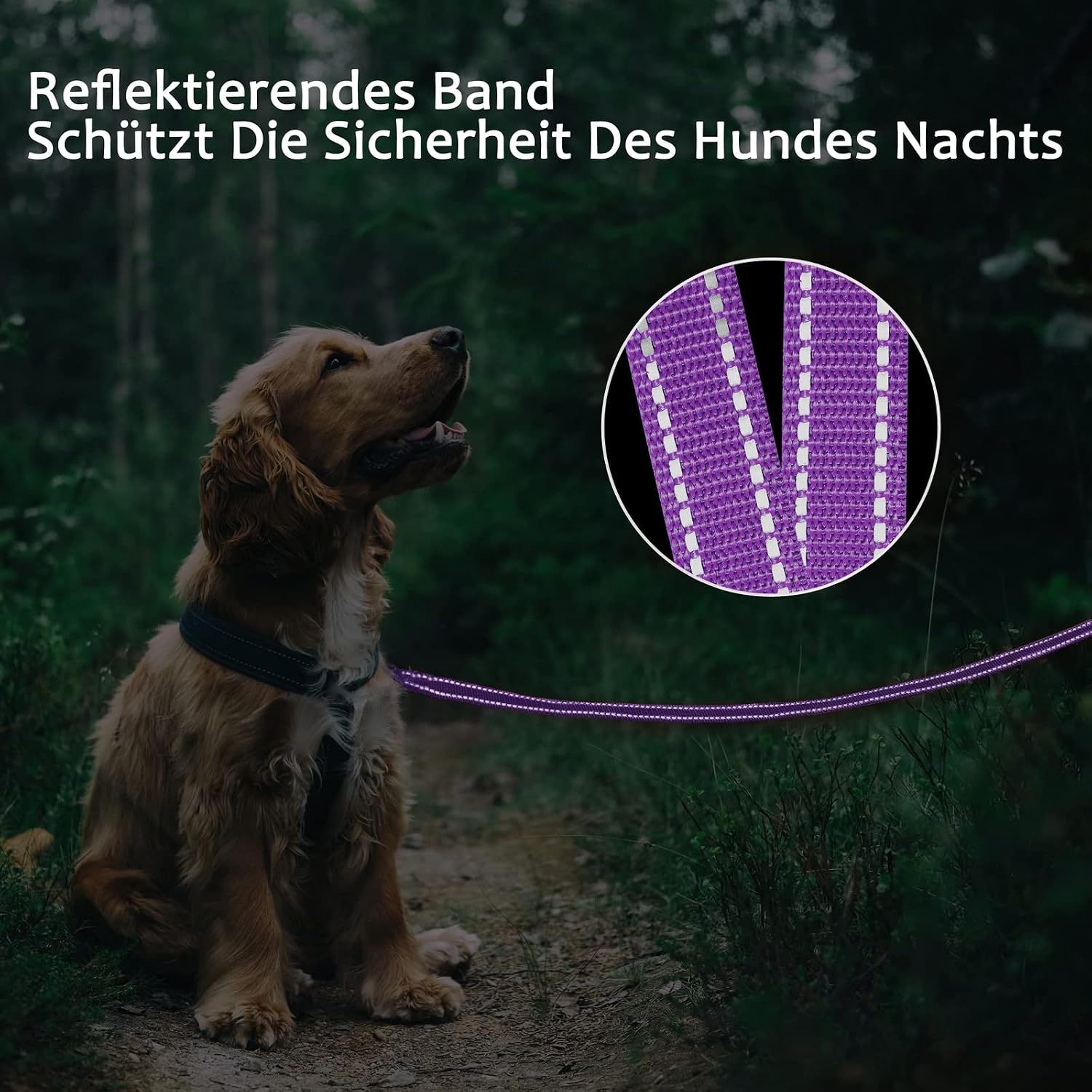 Detalle de Demigreat Schleppleine für Hunde mit reflektierenden Streifen – Trainingsleine mit gepolstertem Griff (3–20 m)