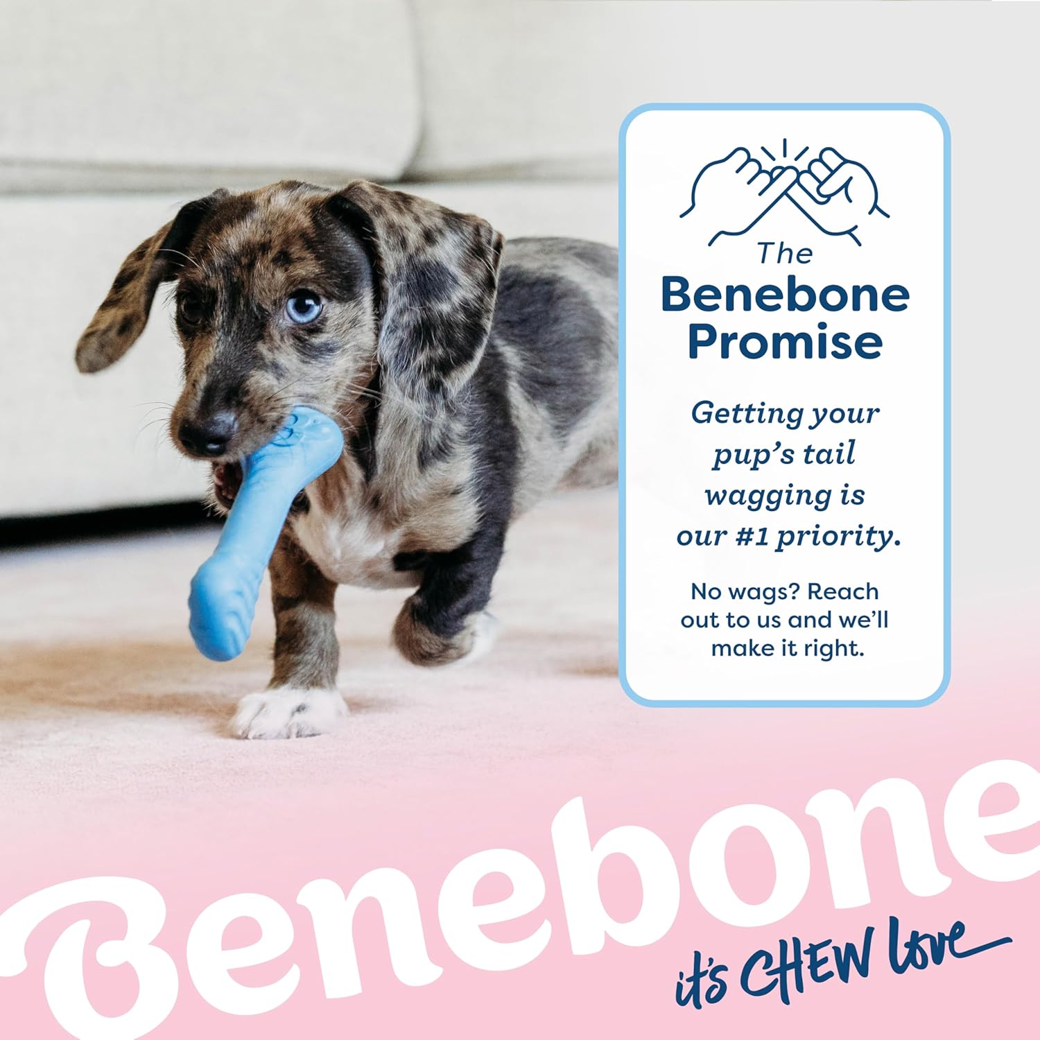 Detalle 2 de Benebone Puppy 2-Pack Rubber Bone/Wishbone Tiny – Jouets à mâcher pour chiots teething