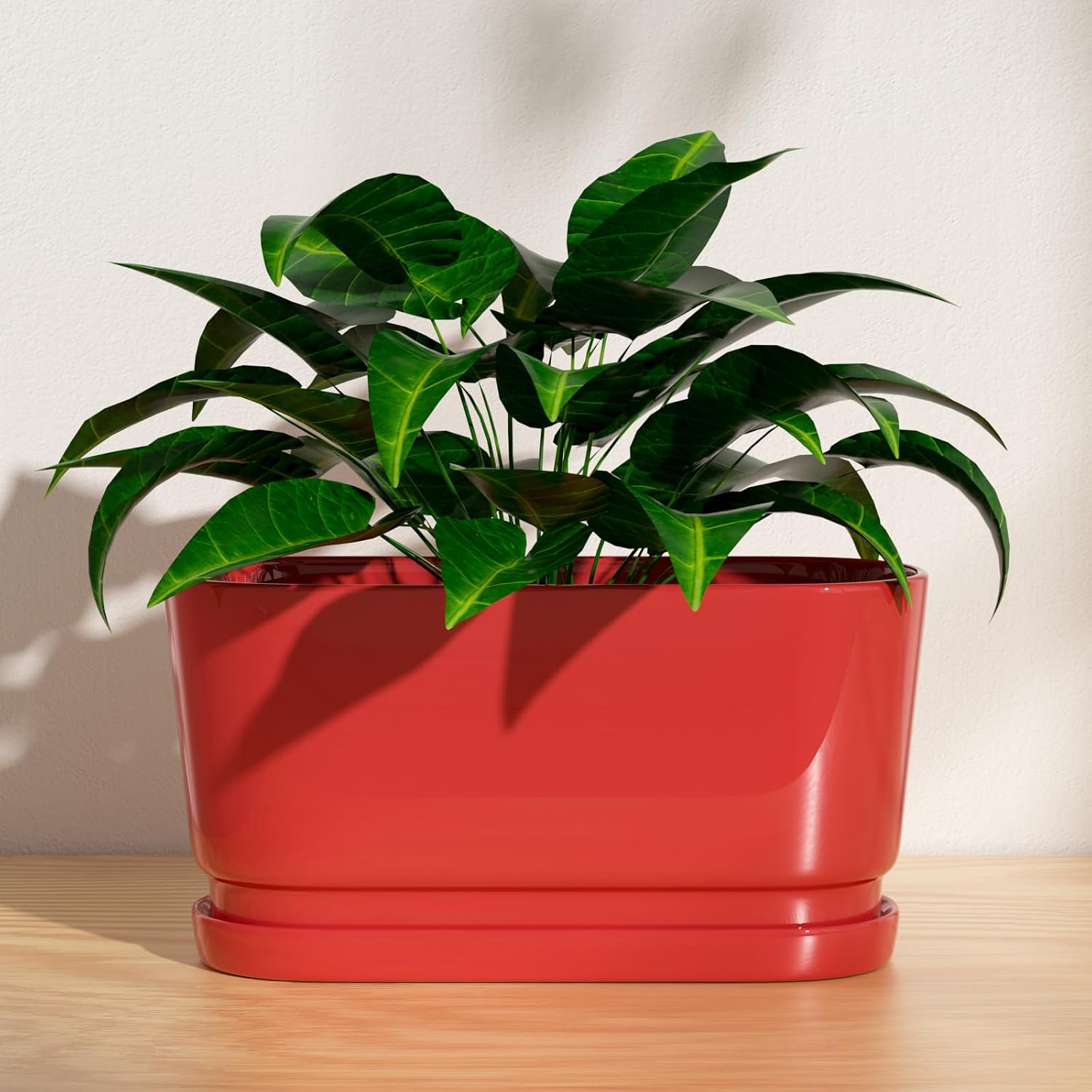 Detalle 2 de XiHuaer Ceramic Planter, 13-inch