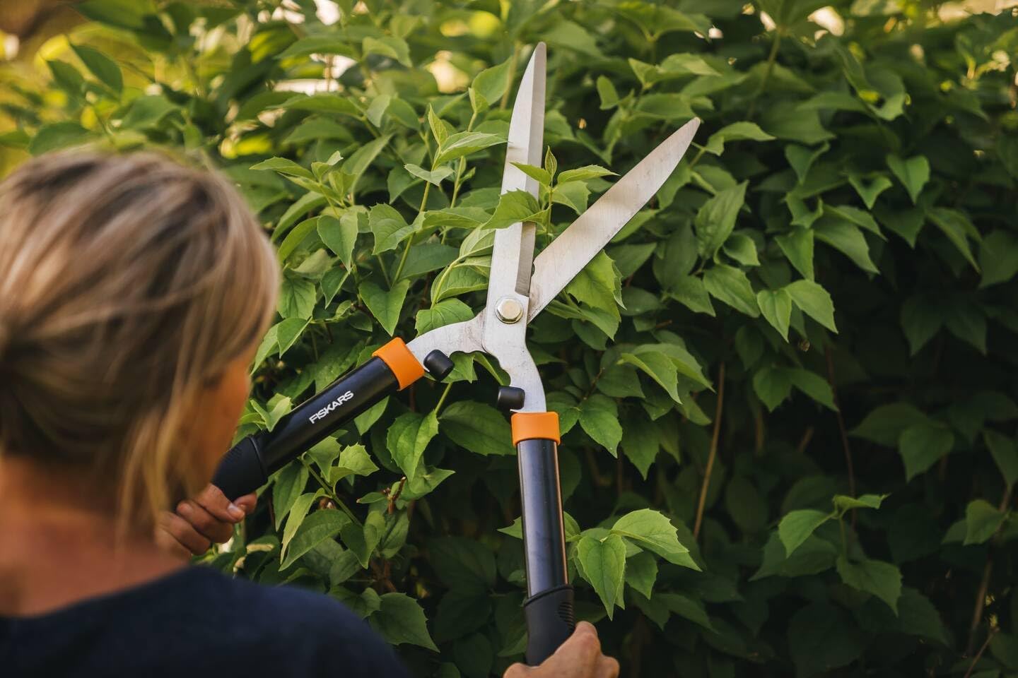 Detalle de Solid Heckenschere HS21 – Form- und Rückschnitts-Perfektion für Hecken und Büsche