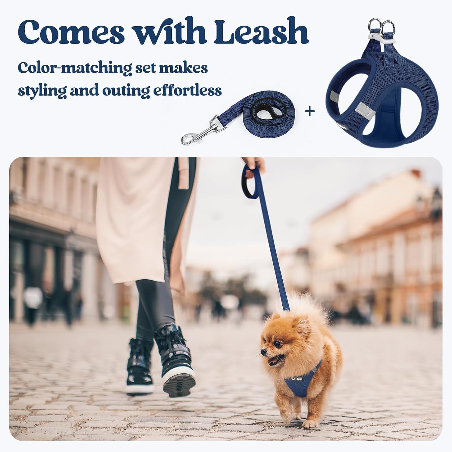 Detalle 1 de rabbitgoo Dog Harness and Leash Set, Size S