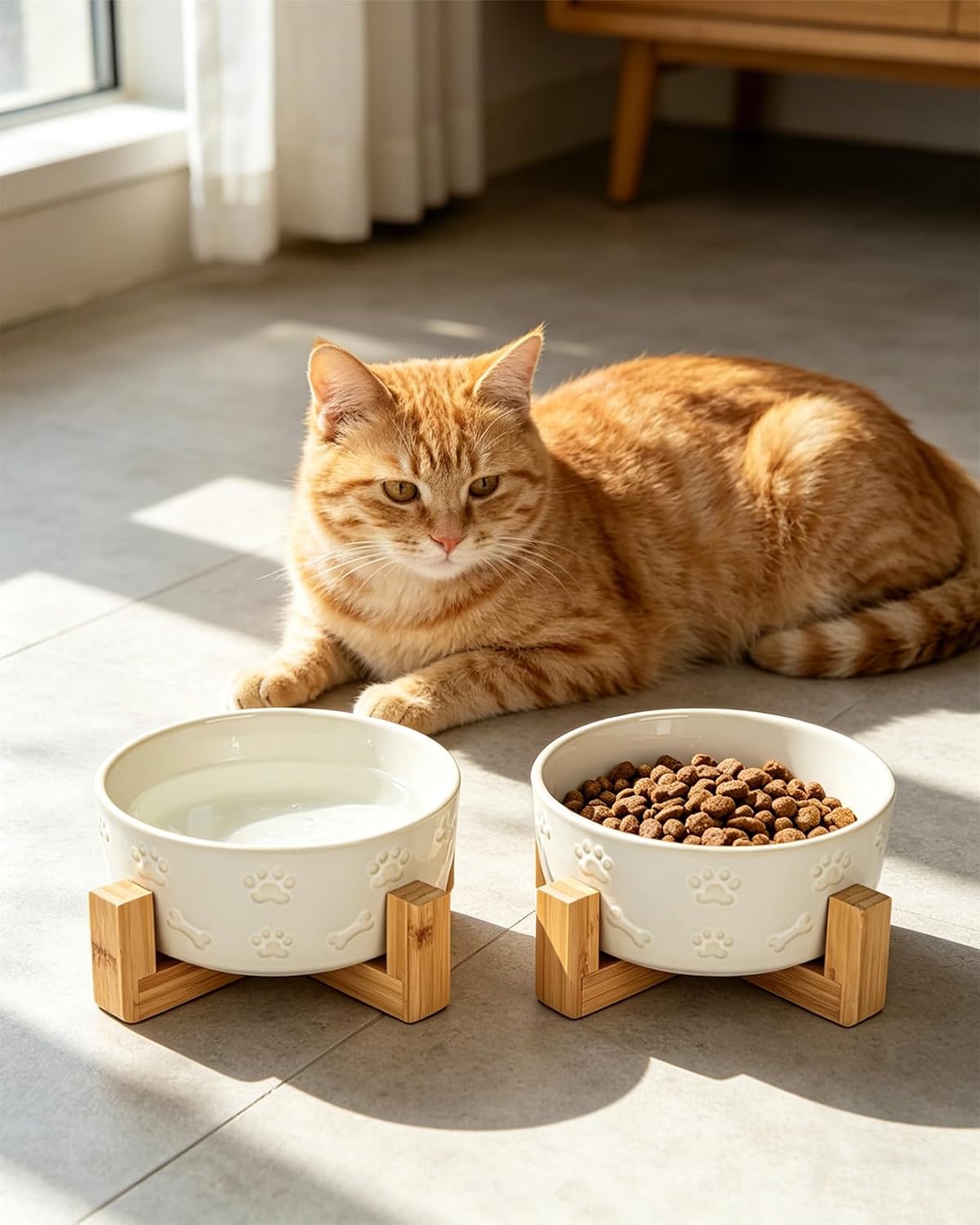 Detalle 1 de Ceramic Dog Bowl Set 5.5-inch