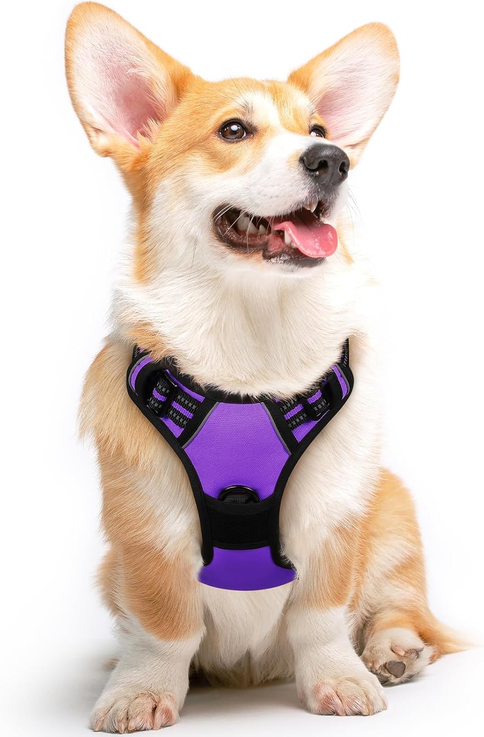 Detalle de Eagloo Dog Harness Medium – No Pull Front & Back Clips, Reflective, Adjustable Comfort