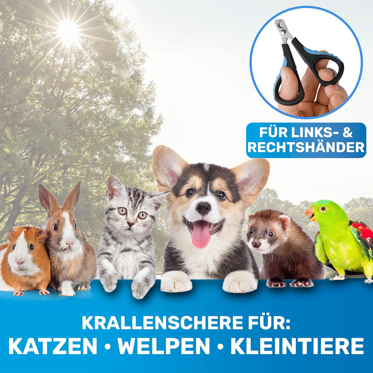 Detalle de BluePet Mini-Krallenschere: Präzise, schonend und einfach für Katzen, Hunde, Kaninchen & Welpen