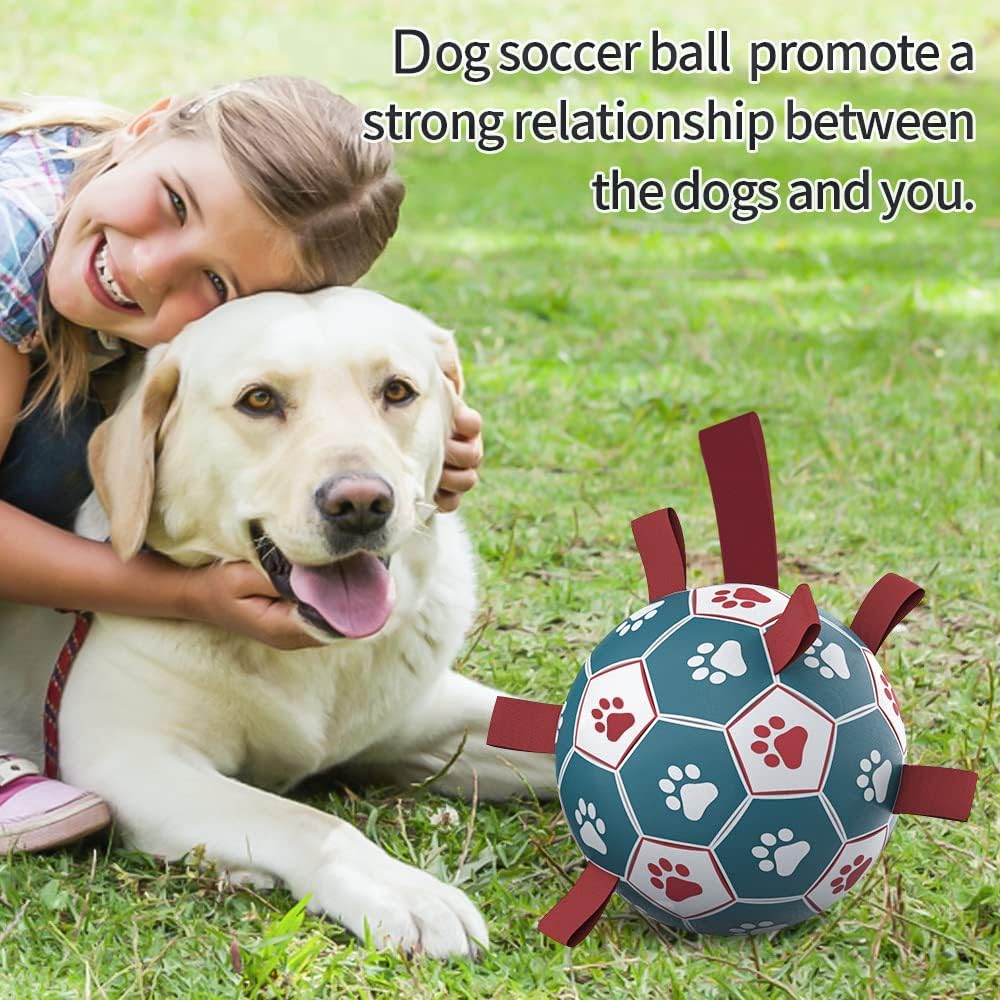 Detalle 2 de HETOO Dog Soccer Ball — Interactive Tug, Fetch and Water Toy for Small & Medium Dogs