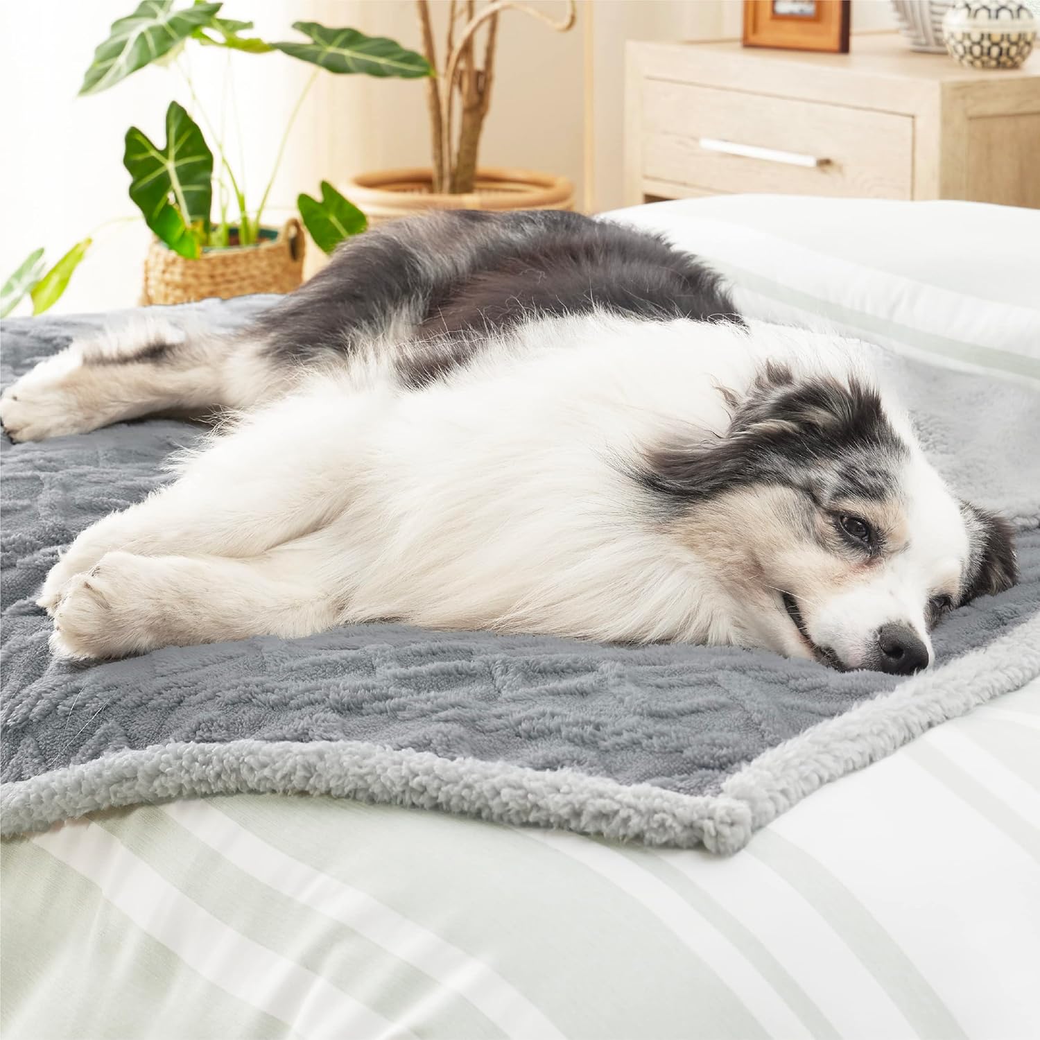 Thumbnail 6 de LE SURE Washable Dog Blanket Sherpa - 100x120cm Waterproof Blanket for Dogs and Cats