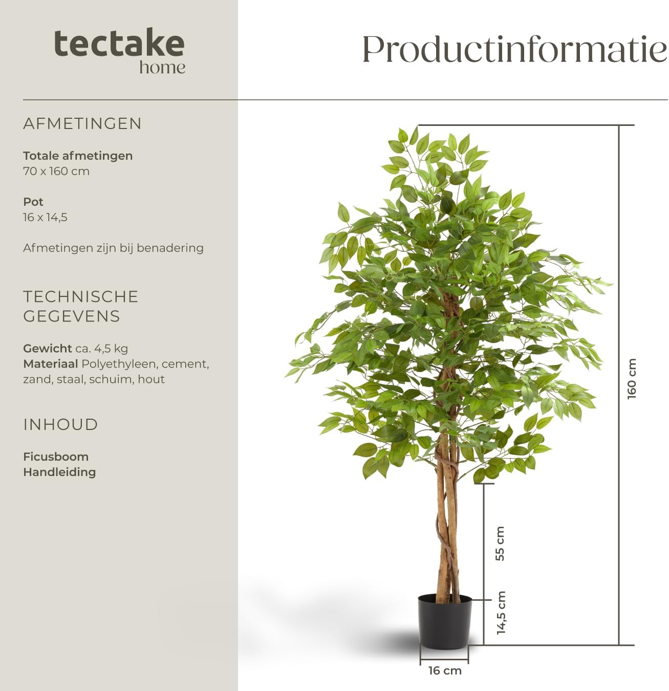 Detalle 2 de tectake Ficus Fida 405610 kunstficus van 160 cm met volle bladkroon