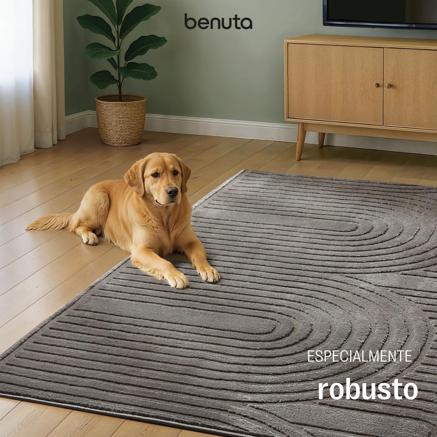 Thumbnail 4 de benuta Basic Claire Alfombra 240x340 cm