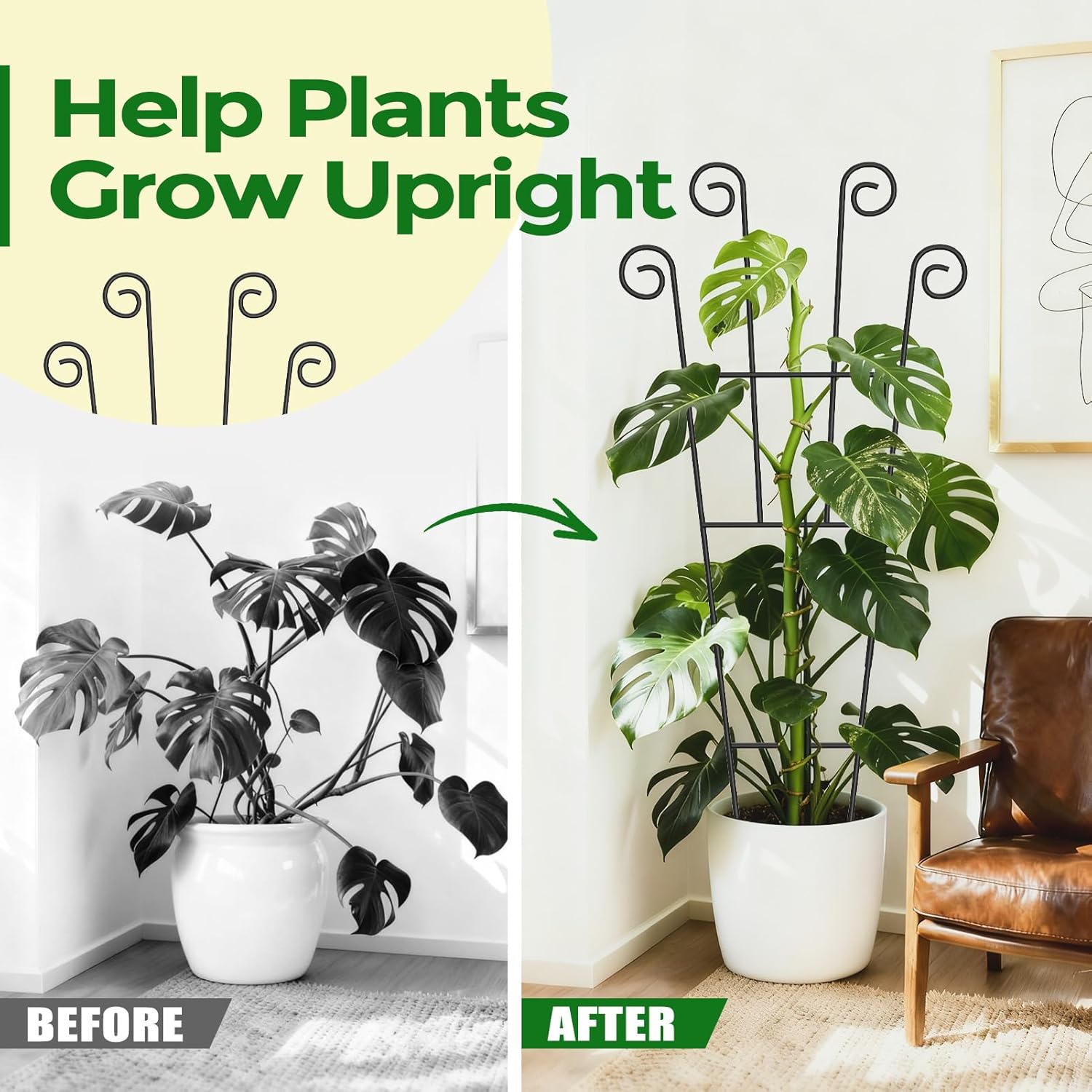 Thumbnail 3 de WELDUN 4 Pack 75cm Metal Plant Trellis Stakes for Climbing Plants (Indoor & Outdoor)