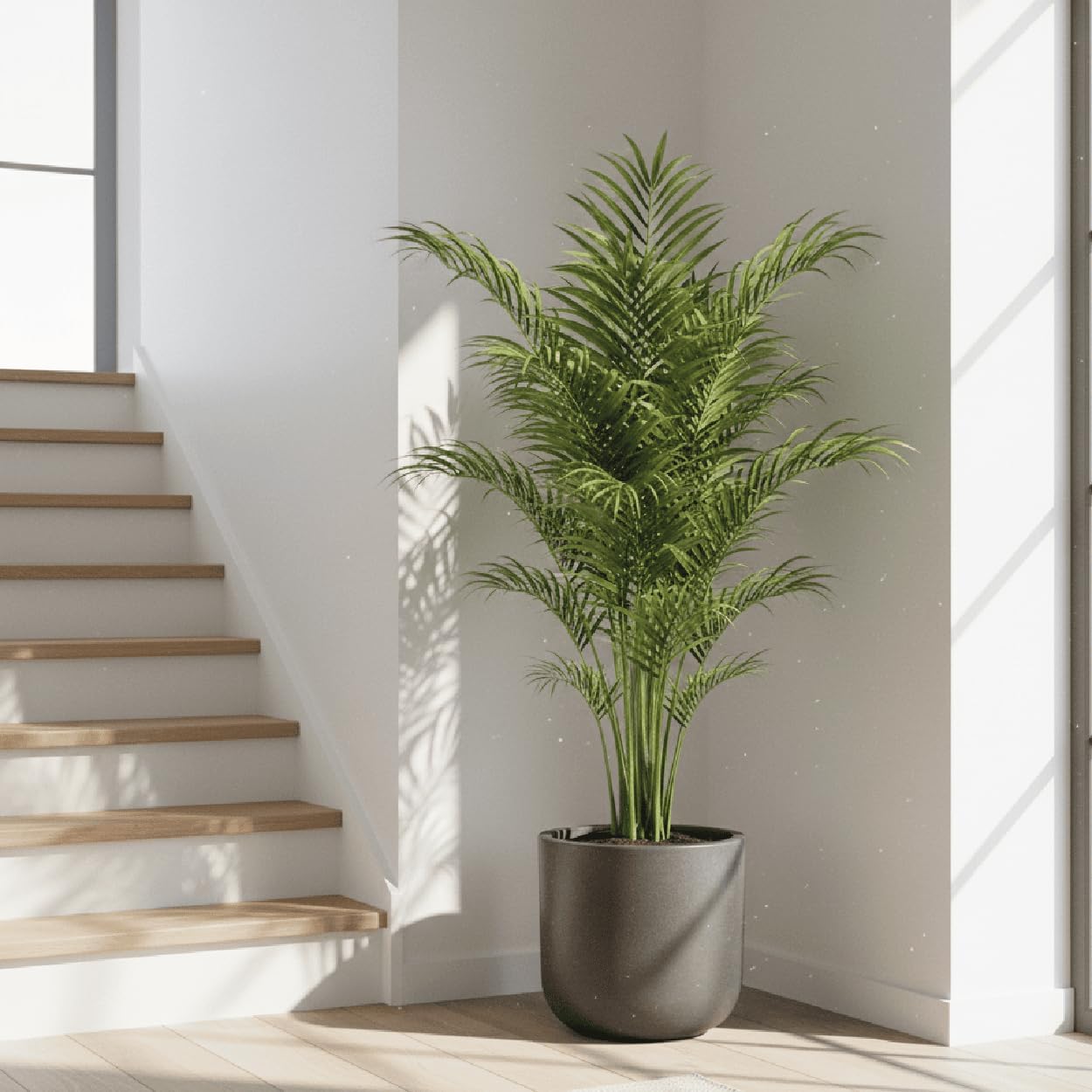 Detalle de Vyveo Blumentopf Orena 56x54 – Grau, Innen- und Außenbereich