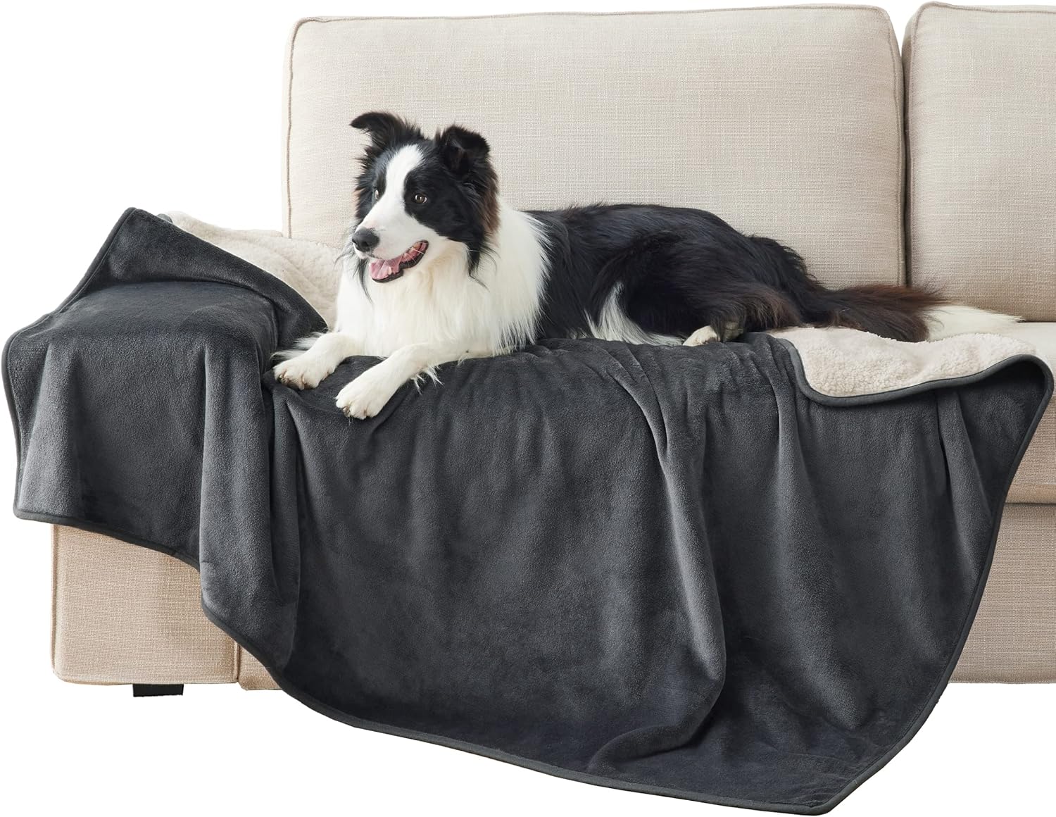 Thumbnail 6 de LE SURE Waterproof Dog Blanket 100x80cm – Reversible Fleece Throw for Medium Dogs and Cats