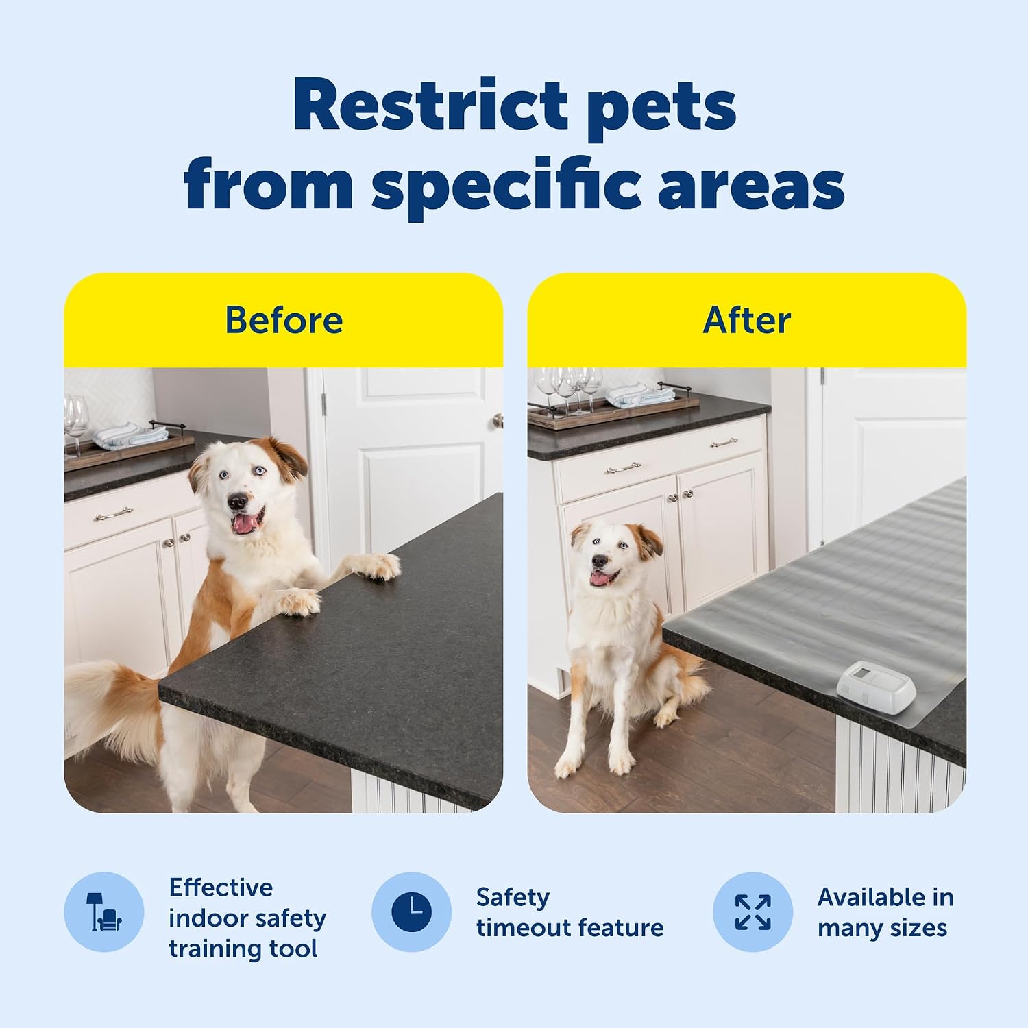 Detalle de PetSafe Indoor Training Mat