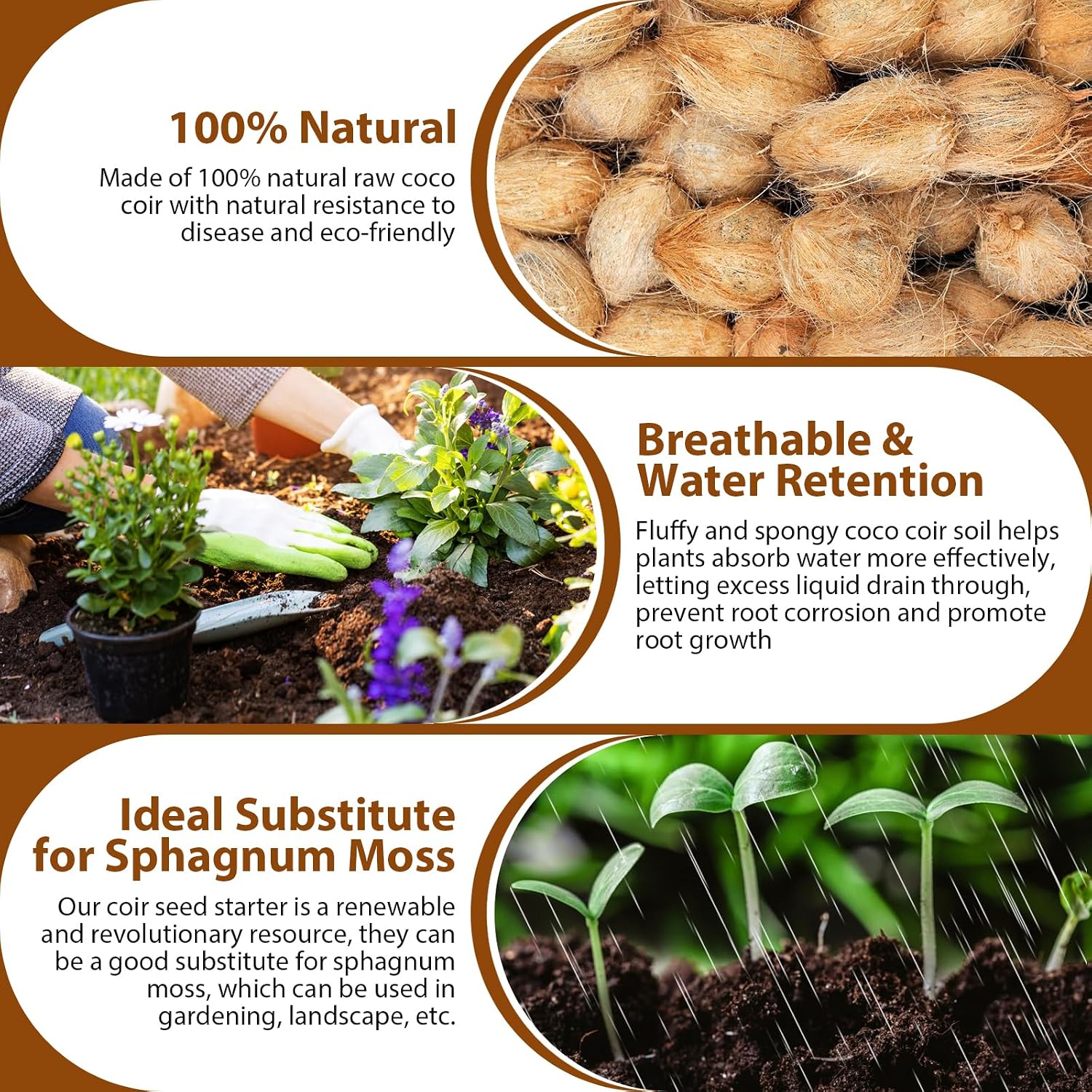 Detalle 1 de Legigo LG-Coco Bricks-10set Organic Coco Coir Bricks, 10-Pack