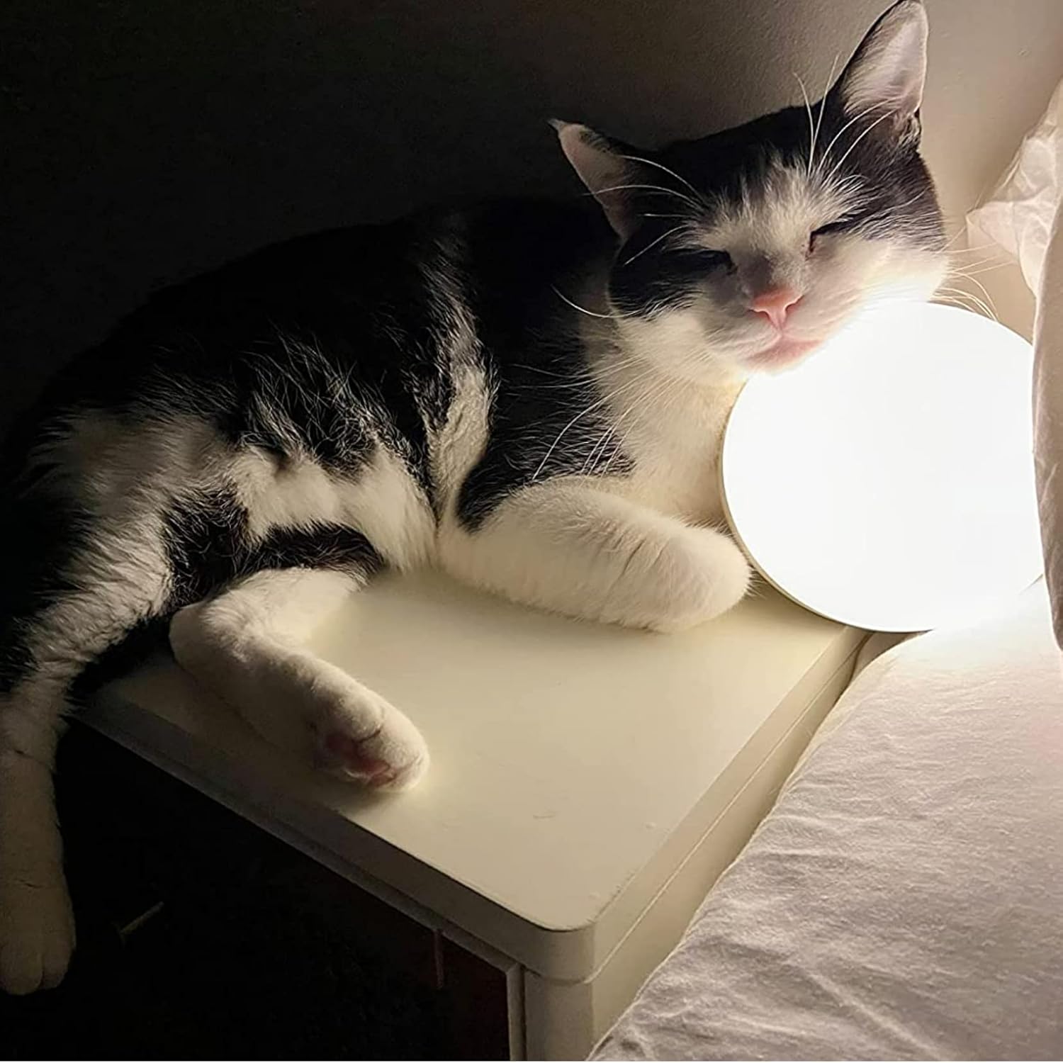 Thumbnail 5 de Hifree Smart Table Lamp with Alexa