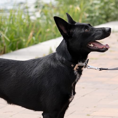 Thumbnail 2 de Ferplast Collar para Perro Nailon acolchado Talla grande 50–58 cm