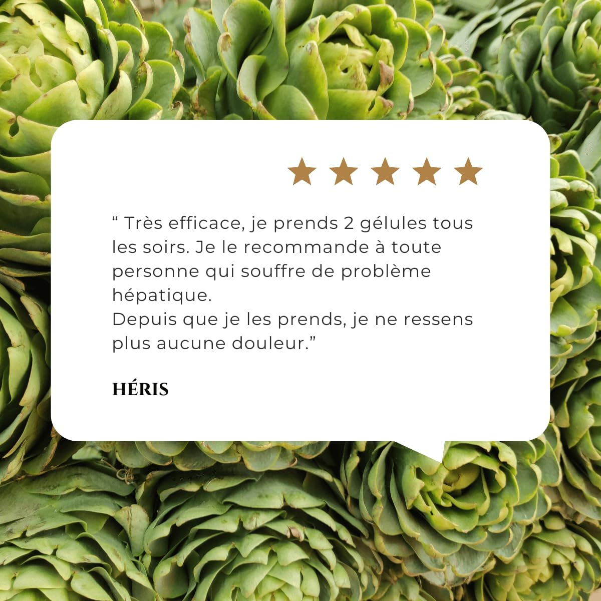 Thumbnail 5 de Complément alimentaire Belle&Bio Detox du foie & confort intestinal Hepatic Bio (radis noir, pissenlit, artichaut) – cure 2 mois
