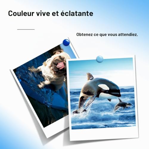 Detalle de GoToners XL Compatible Cartouche 540/541 pour PIXMA MG3600/TS5150/MG3650s – Noir et Couleur (Pack 2, 540XL/541XL)