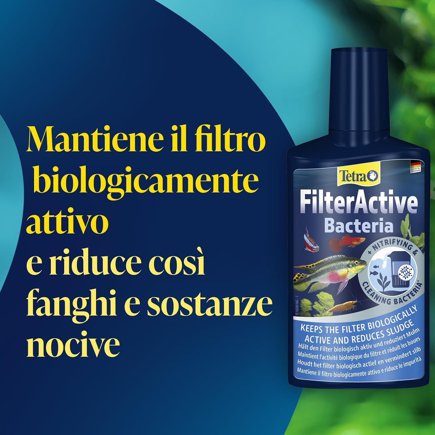 Thumbnail 2 de Tetra FilterActive 250 ml: batteri vivi per filtrare l’acqua e ridurre impurità