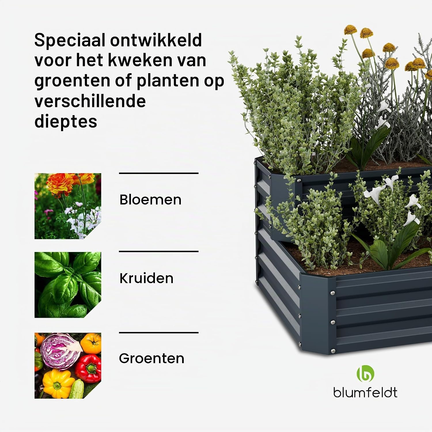 Thumbnail 3 de Blumfeldt verhoogde moestuinbak 120 x 90 cm, 2 niveaus, gegalvaniseerd staal
