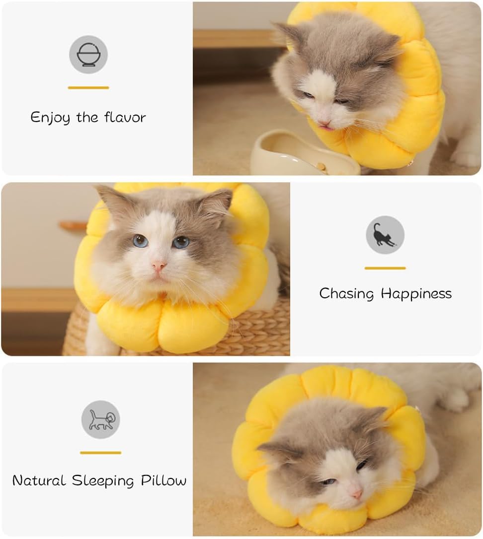 Detalle 2 de Wishstar Halskrause Katze Größe S – weicher Leckschutz im Sonnenblumen-Design