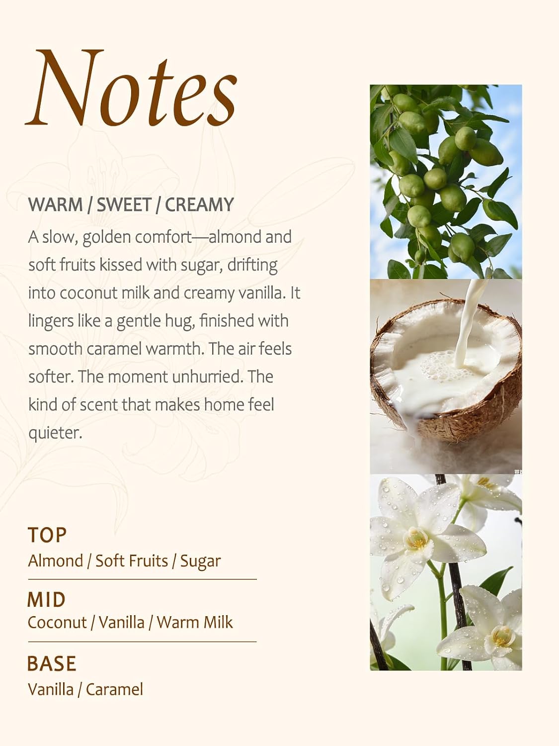 Detalle 2 de Vanilla Soy Wax Scented Candle, 210g Hand-Poured with Double Cotton Wicks