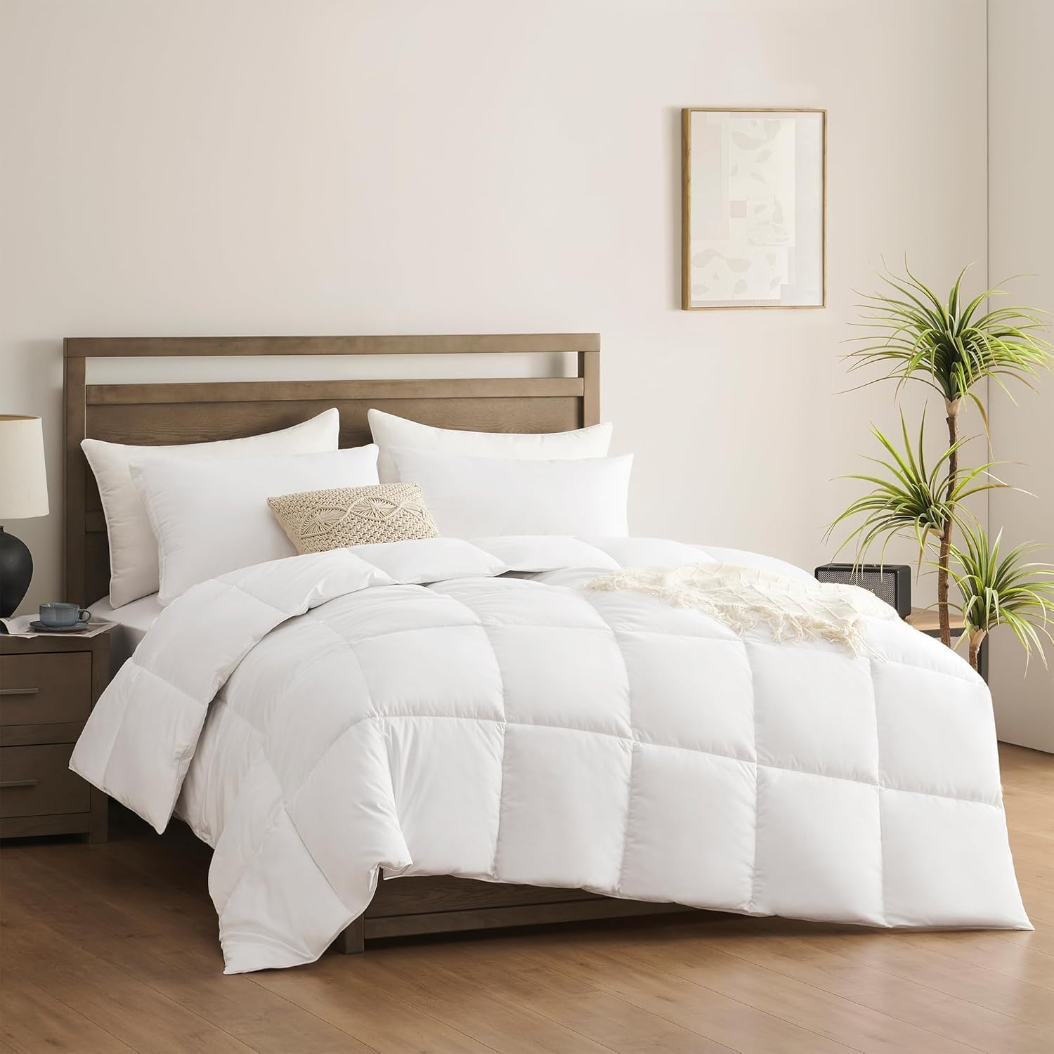 Thumbnail 1 de ACCURATEX Couette 100% coton 240×220 cm