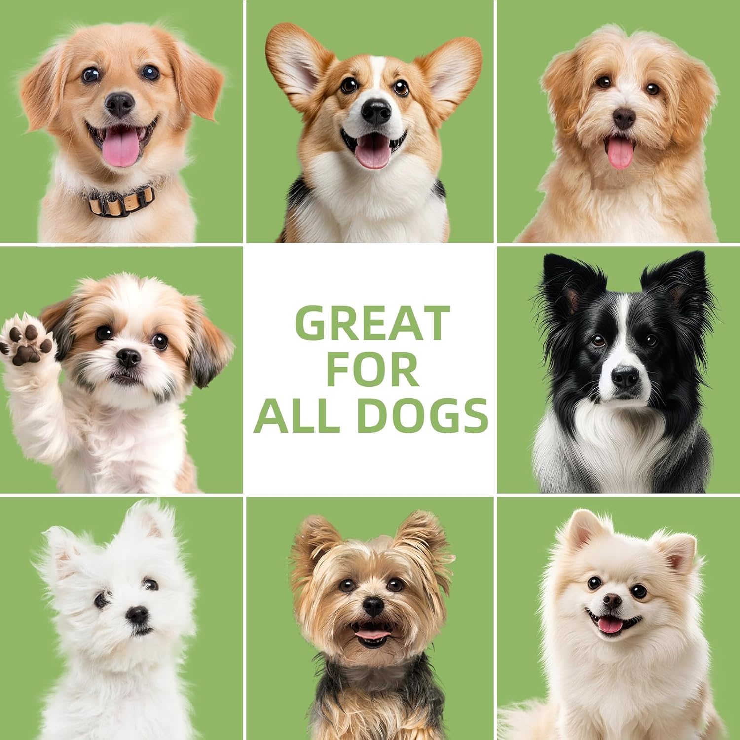 Thumbnail 6 de AOPEIBOTO Tear-Free Dog Shampoo & Conditioner (300ml) for Smelly Dogs, Cats & Puppies