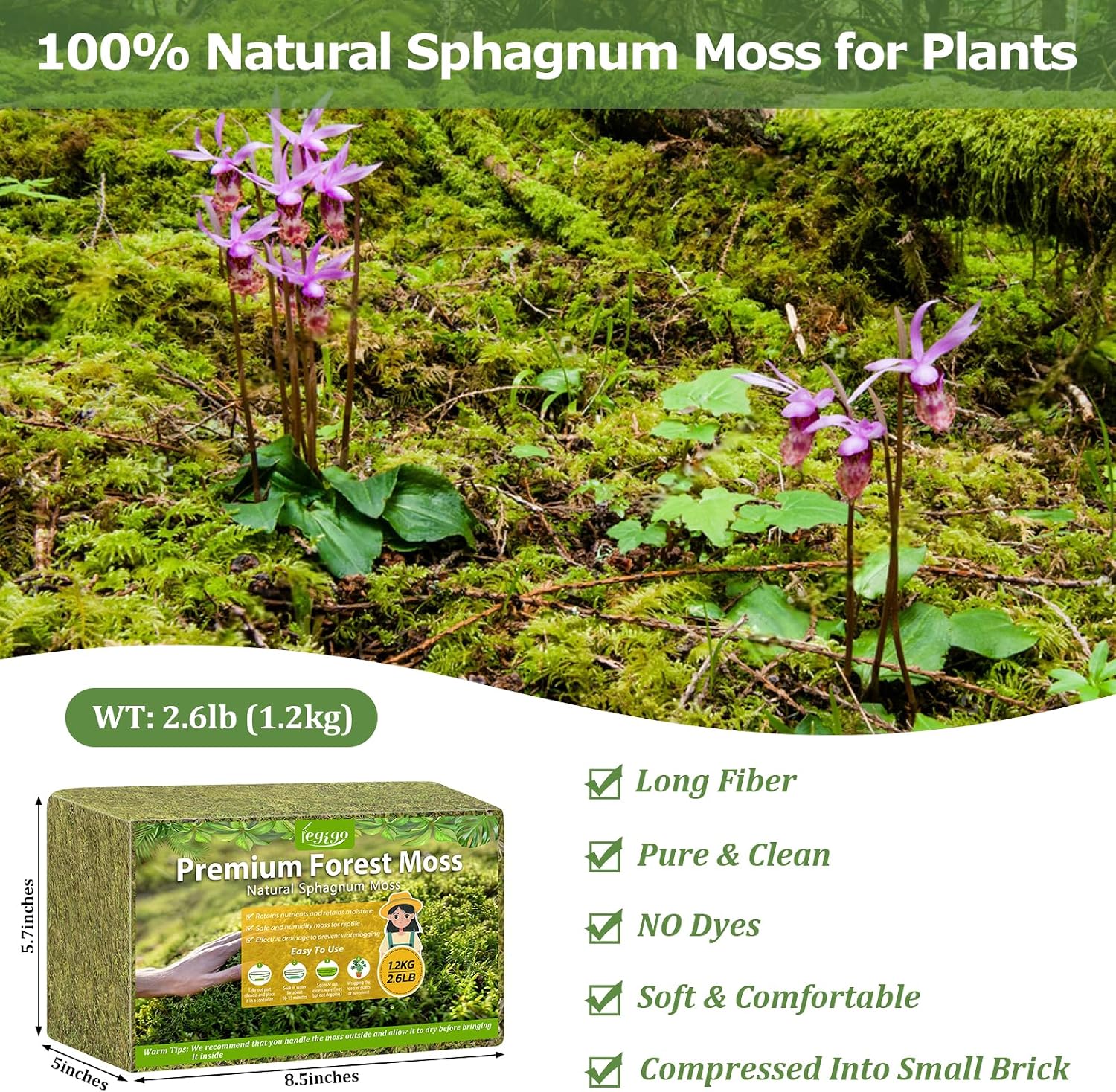 Detalle 2 de Legigo L-DE-Forest Moss-1.2kg Sphagnum Moss, Natural Long-Fiber Green
