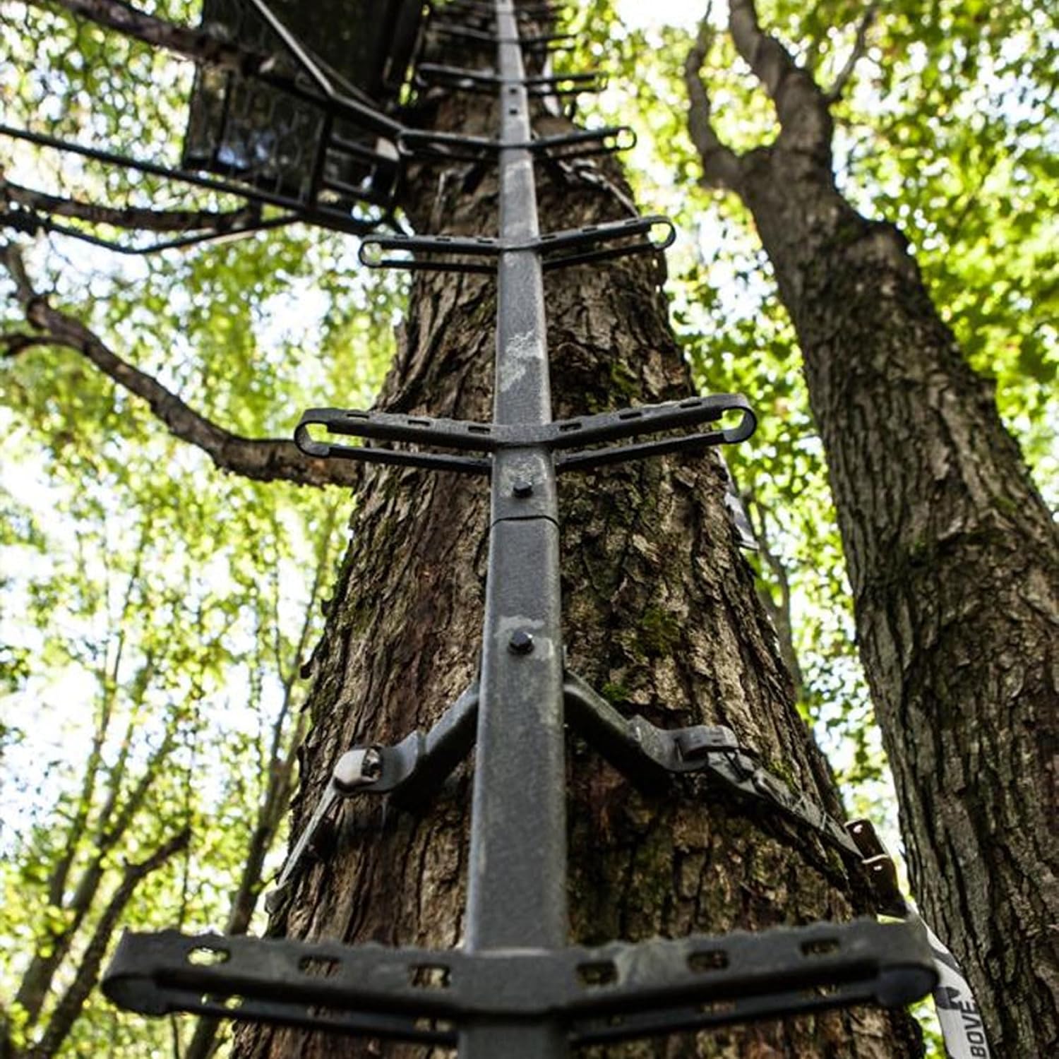 Thumbnail 6 de Hawk climbing sticks 1PL