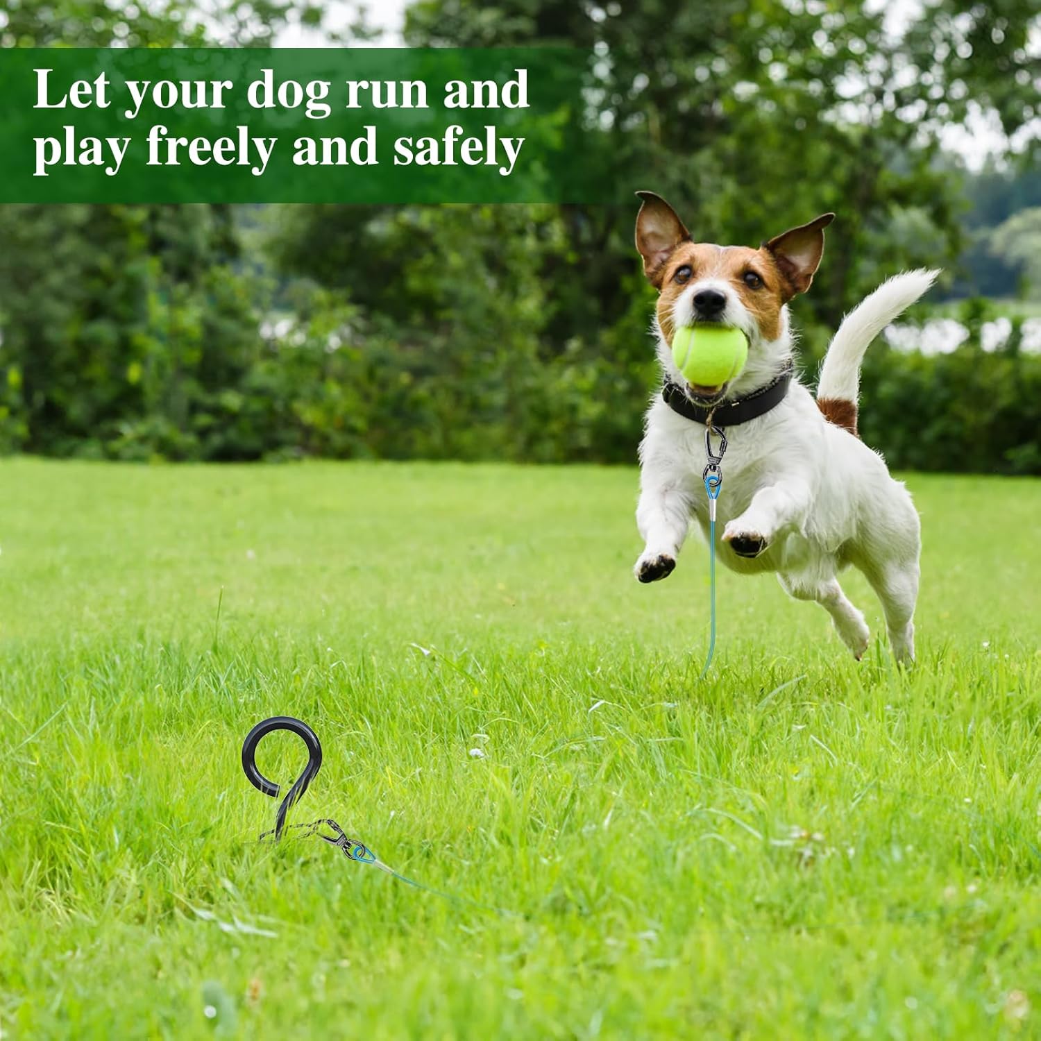 Detalle 2 de Chuiendi Dog Tie Out Stake (40cm) with 360° Swivel for up to 50kg dogs