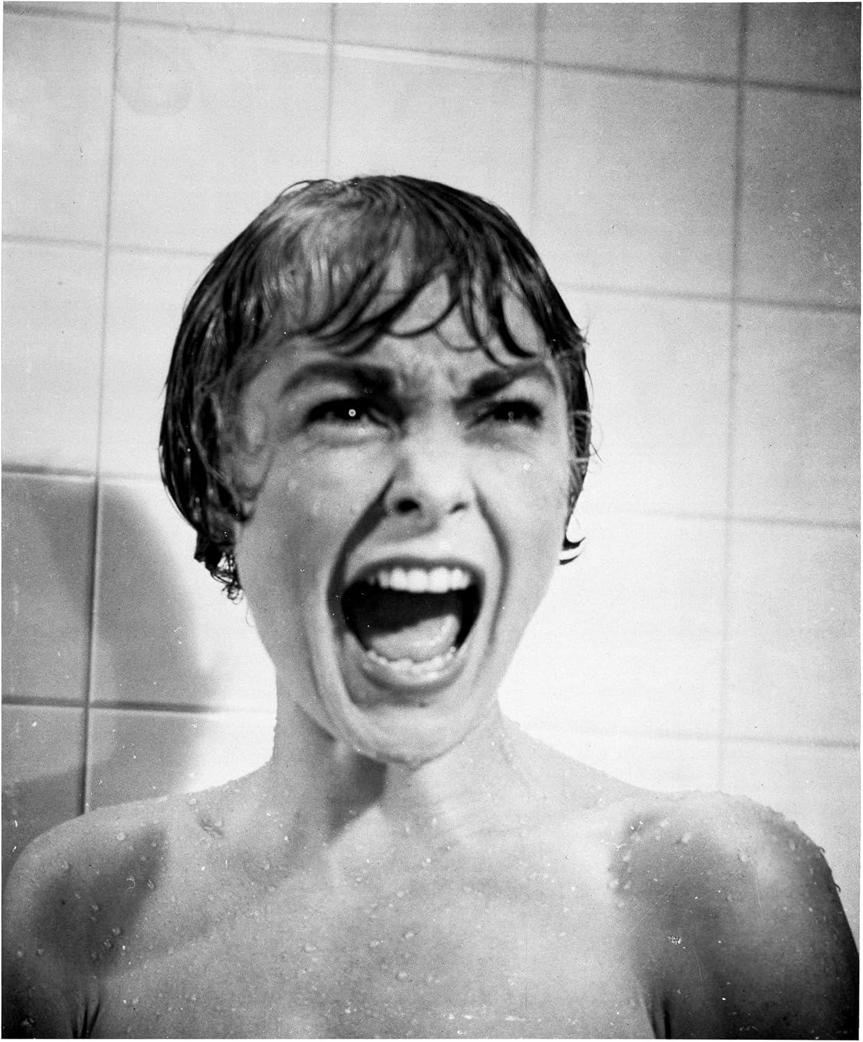 Detalle 2 de Alfred Hitchcock: The Essentials Collection DVD – Five Classic Films and Bonus Features