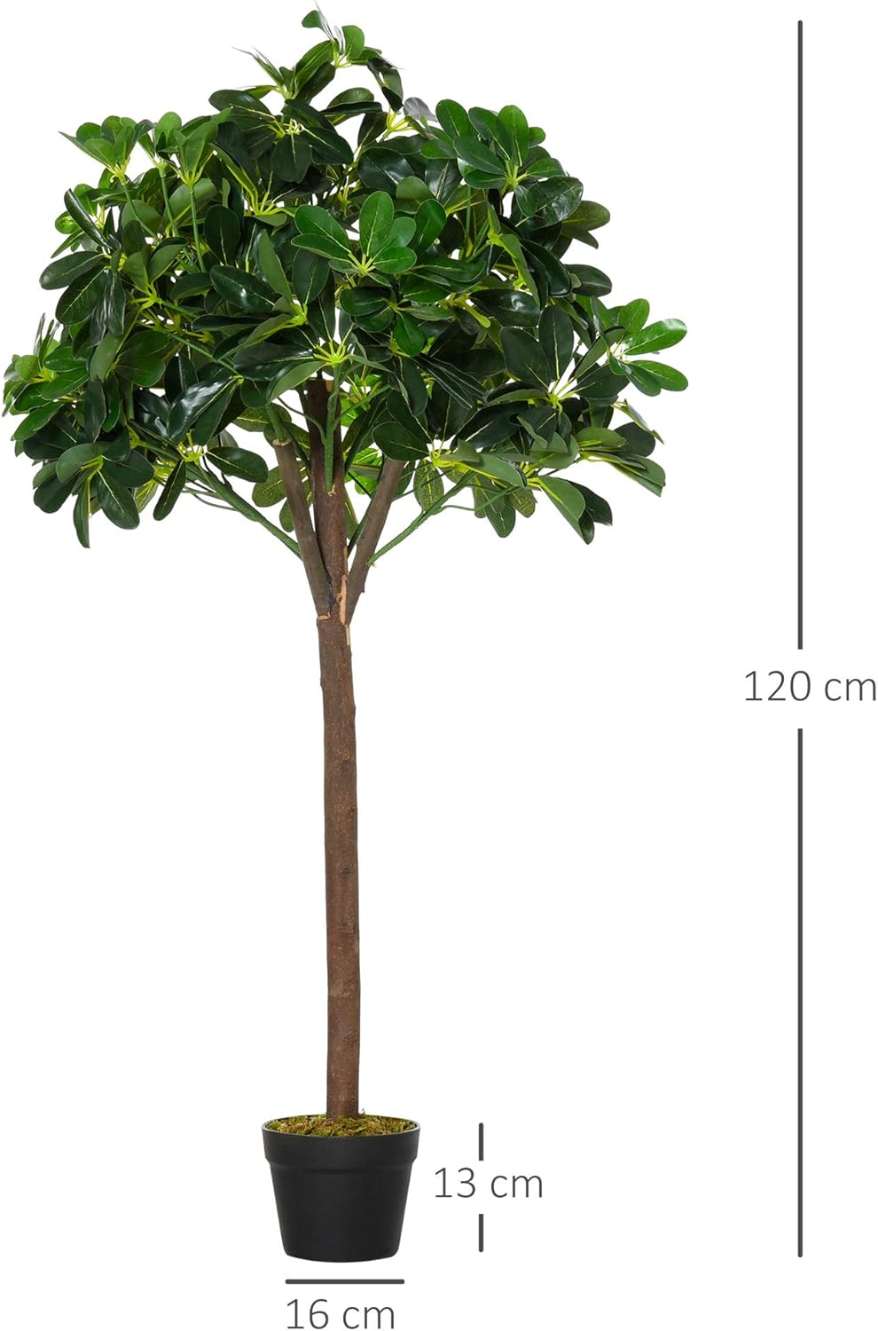 Thumbnail 5 de Outsunny Arbre Alstonia 1,20 m