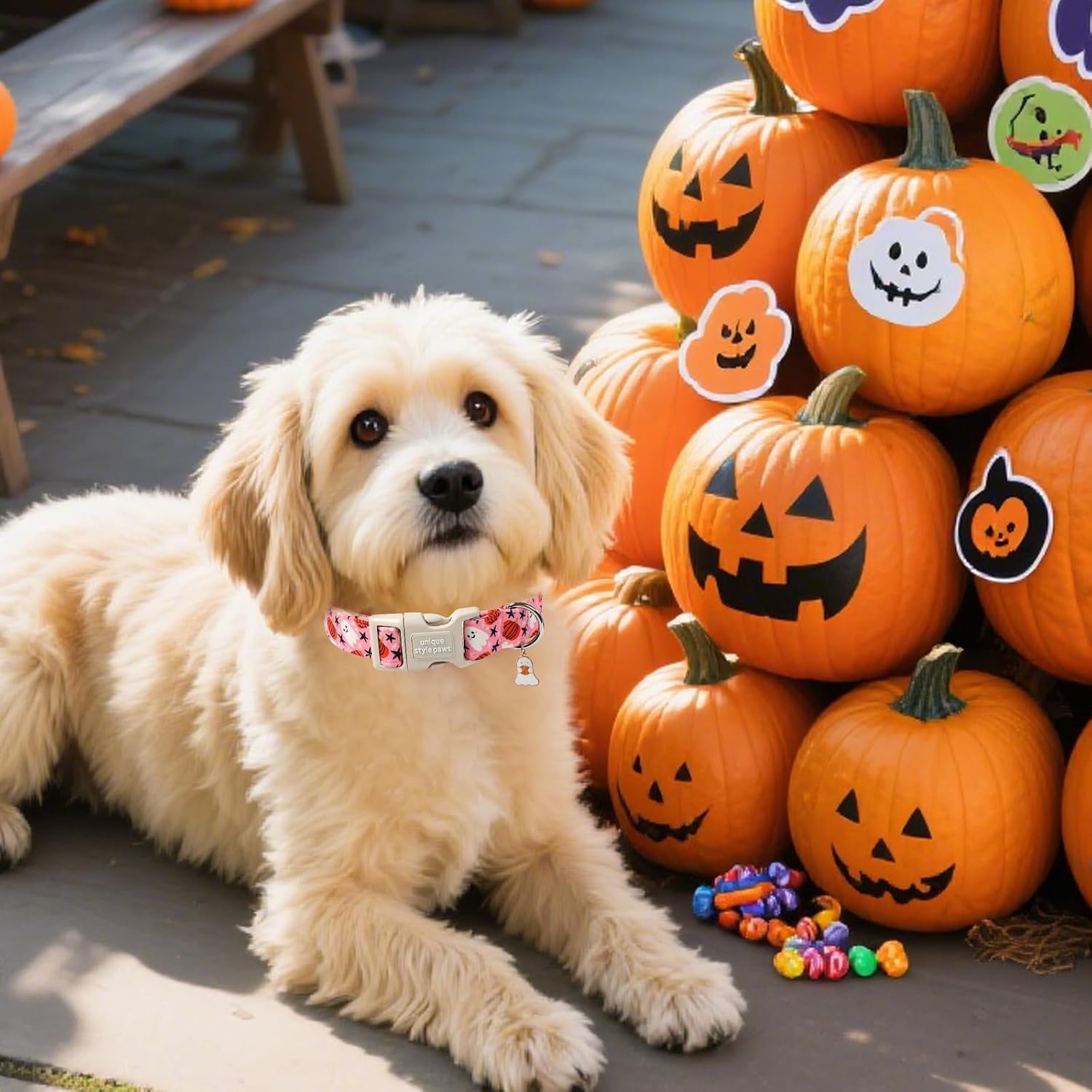 Thumbnail 4 de Unique Style Paws CC-PumpkinGhost-L Halloween Dog Collar, Cotton, Adjustable