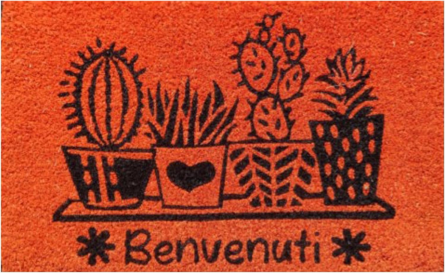 Detalle de Baroni Home Zerbino Ingresso Casa in Fibra di Cocco Dipinto a Mano – 60x38 cm, Arancione (Zerbino con Cactus)
