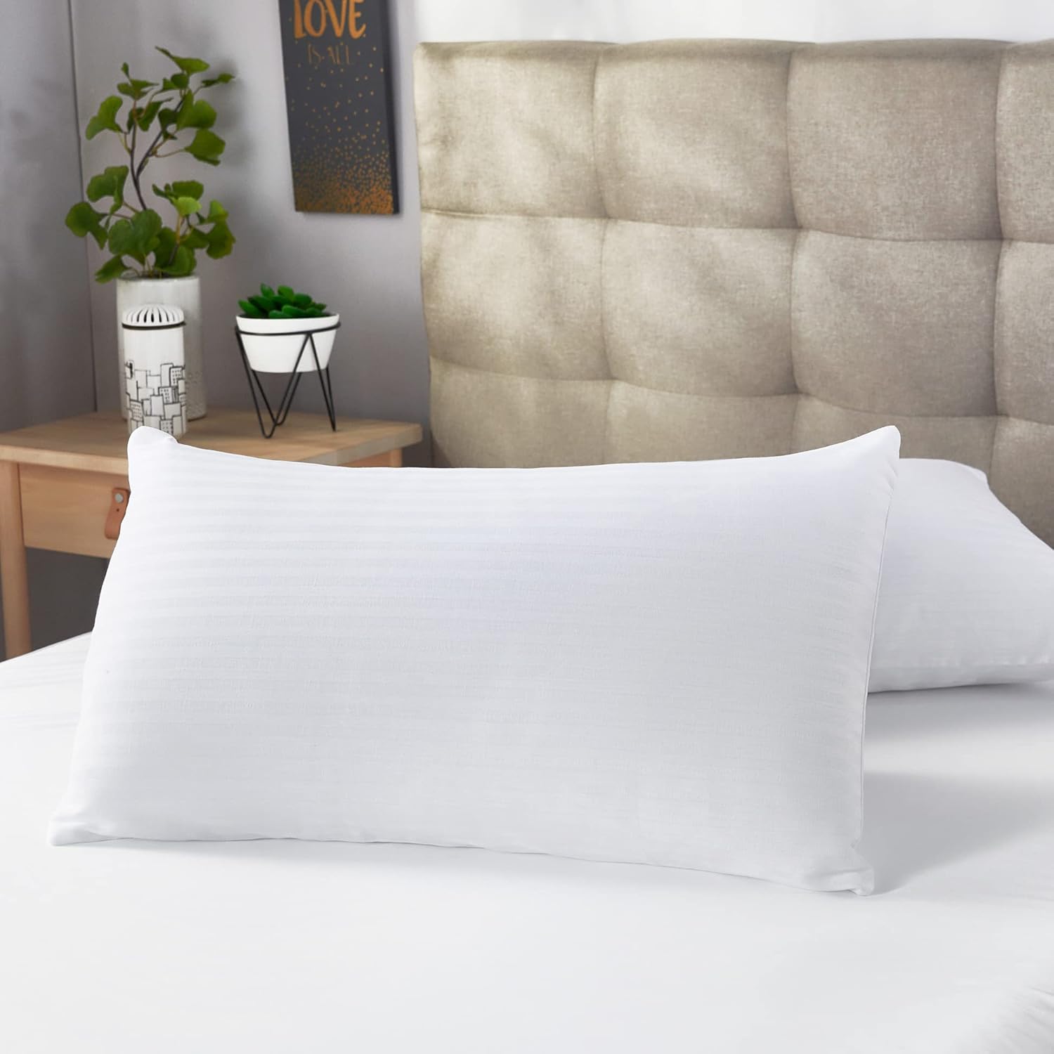 Thumbnail 1 de Pikolin Home - Pack 2 Fundas Almohada 100% Algodón