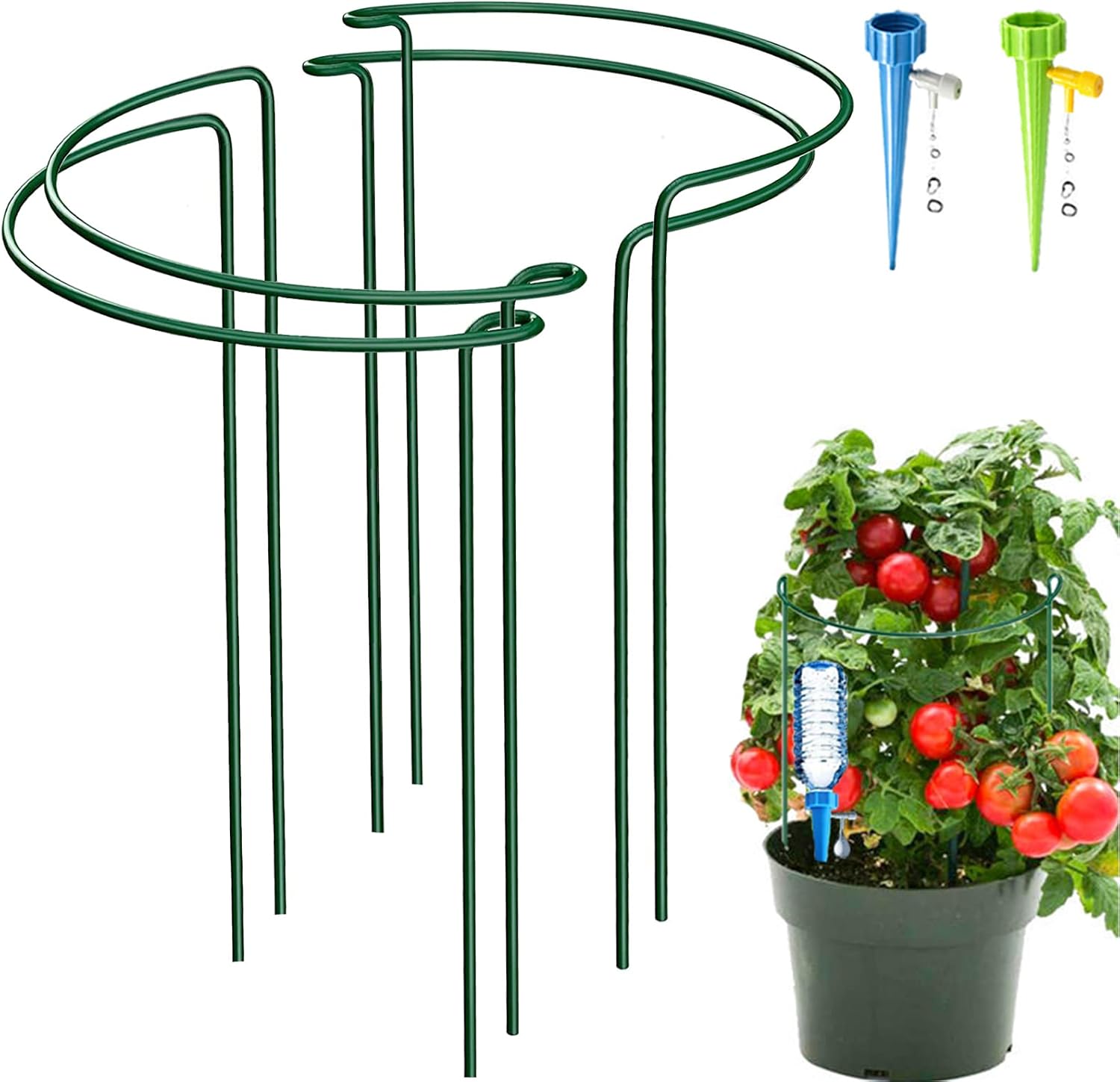 Detalle de 4 Pack Half Round Garden Plant Support Stakes with Interlinking Rings and Self-Watering Spikes