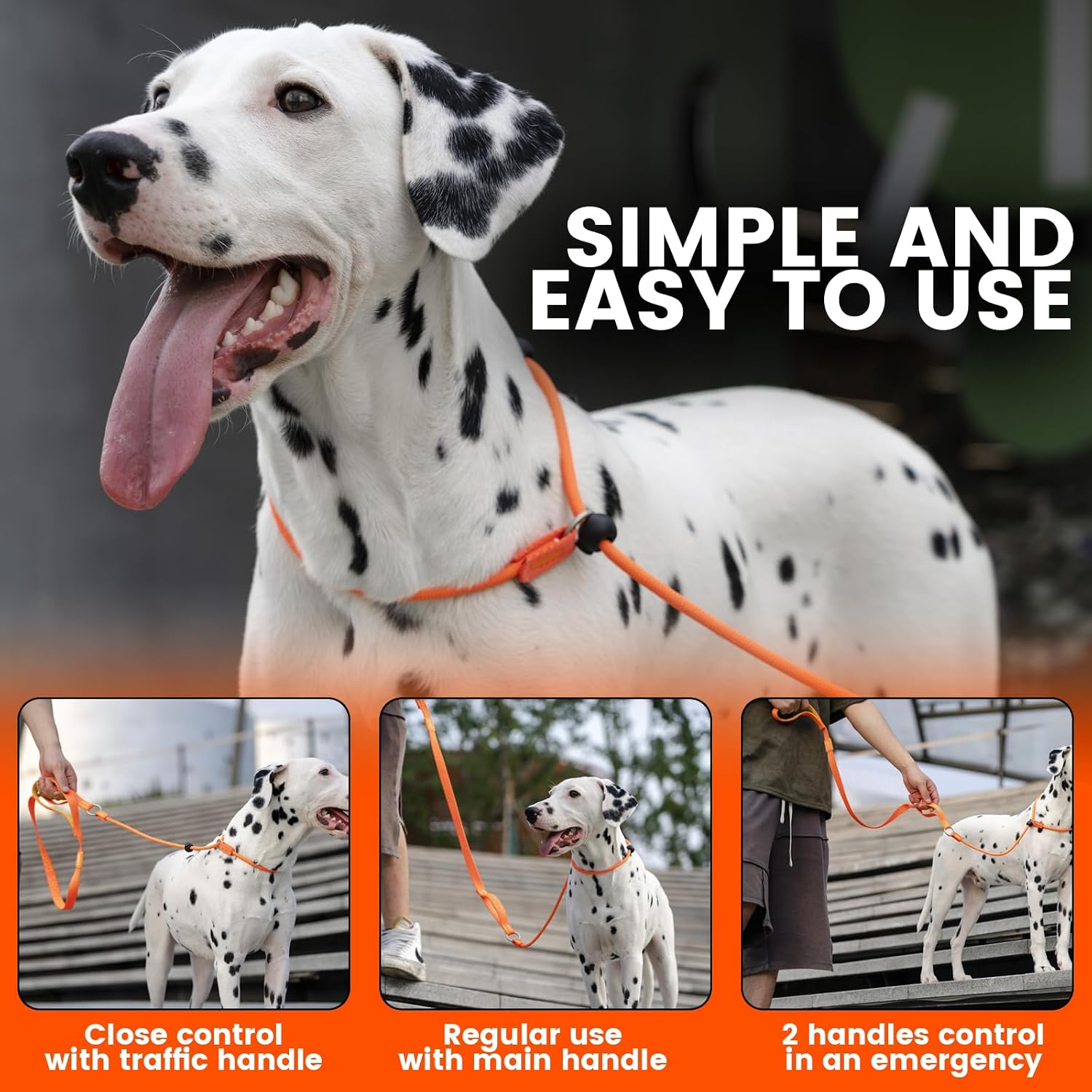 Detalle de Howgo dog slip lead training leash (padded handle) – orange, 3.6FT