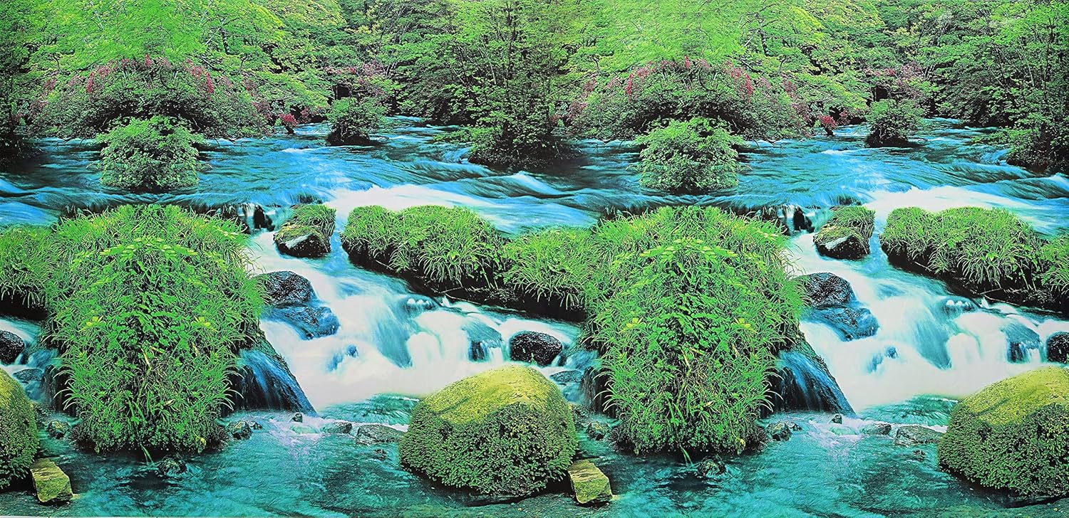 Thumbnail 1 de Pistachio Pet Double-Sided Aquarium Poster 45 x 100 cm