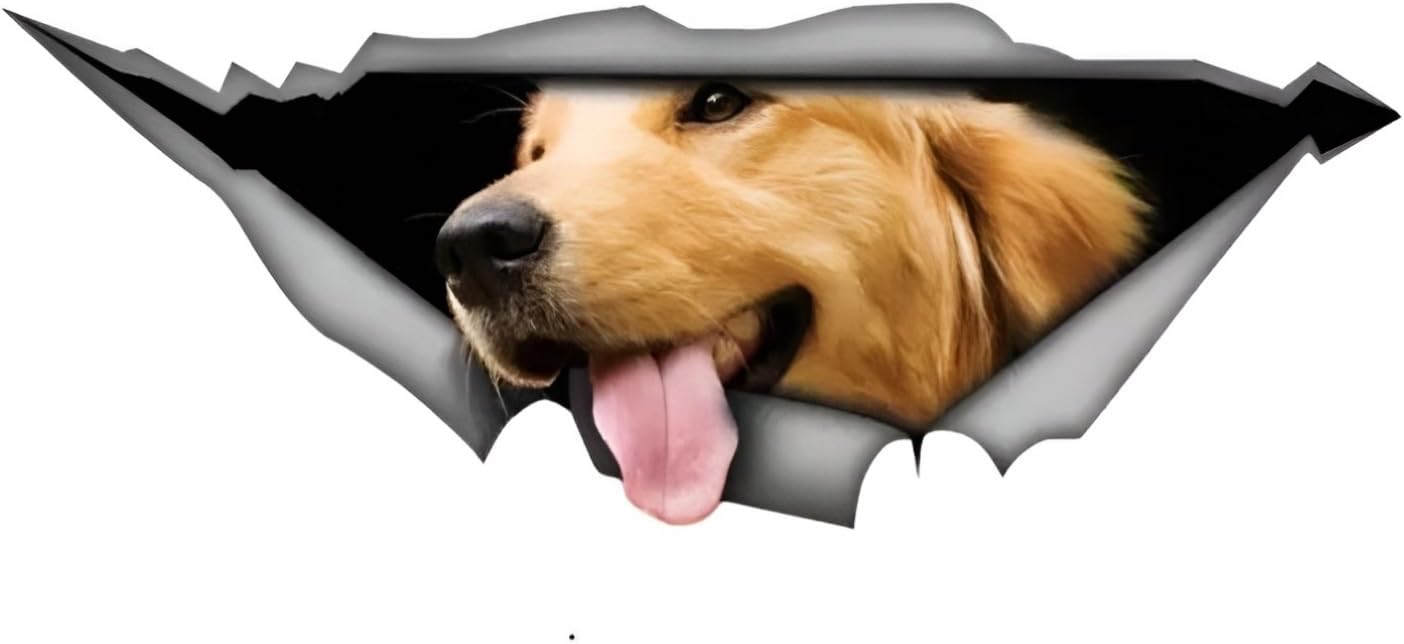Detalle de Golden Retriever Autoaufkleber 25 cm