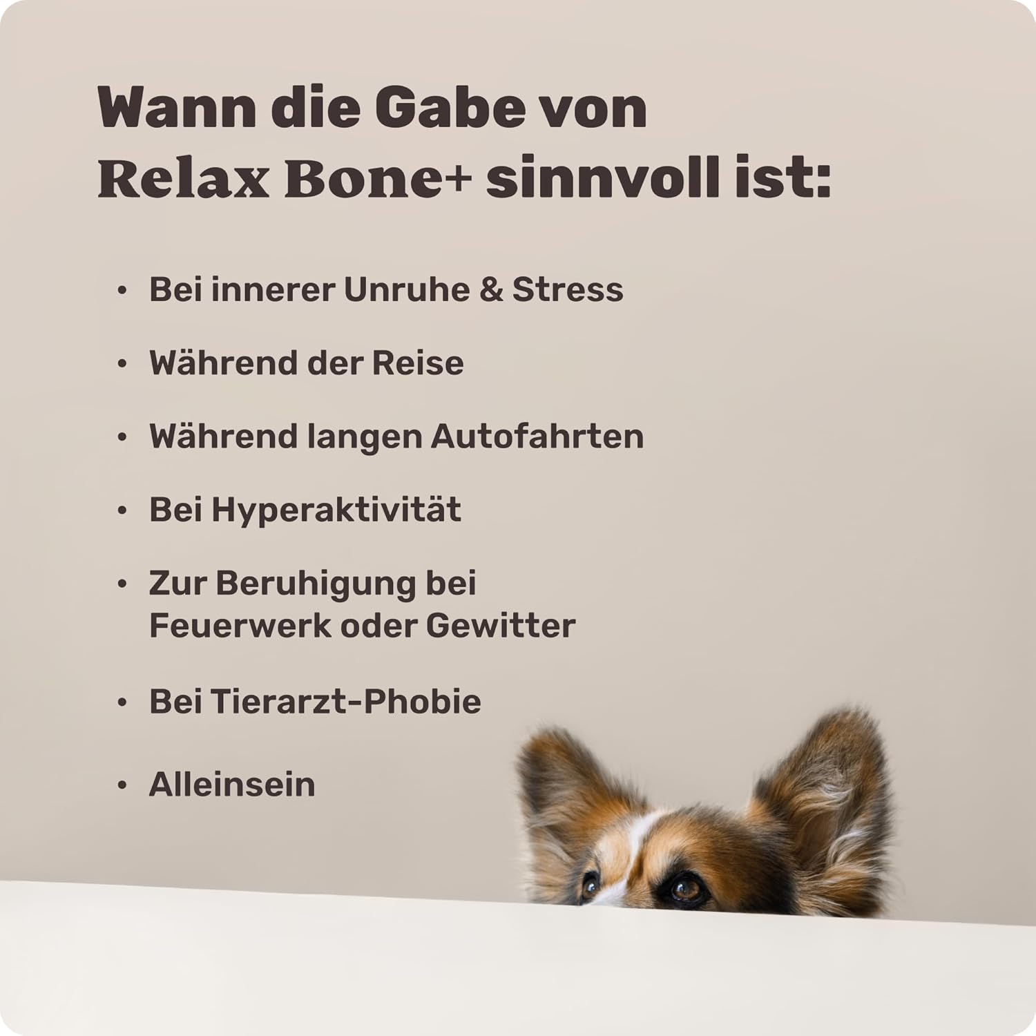 Detalle 2 de mammaly Relax Bone+ Entspannungs-Kauknochen 12cm
