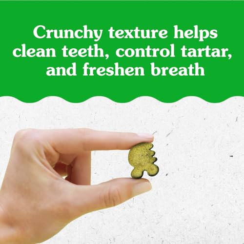 Thumbnail 10 de Greenies Feline Natural Crunchy Dental Cat Treats, Salmon Flavor (9.75 oz) Review