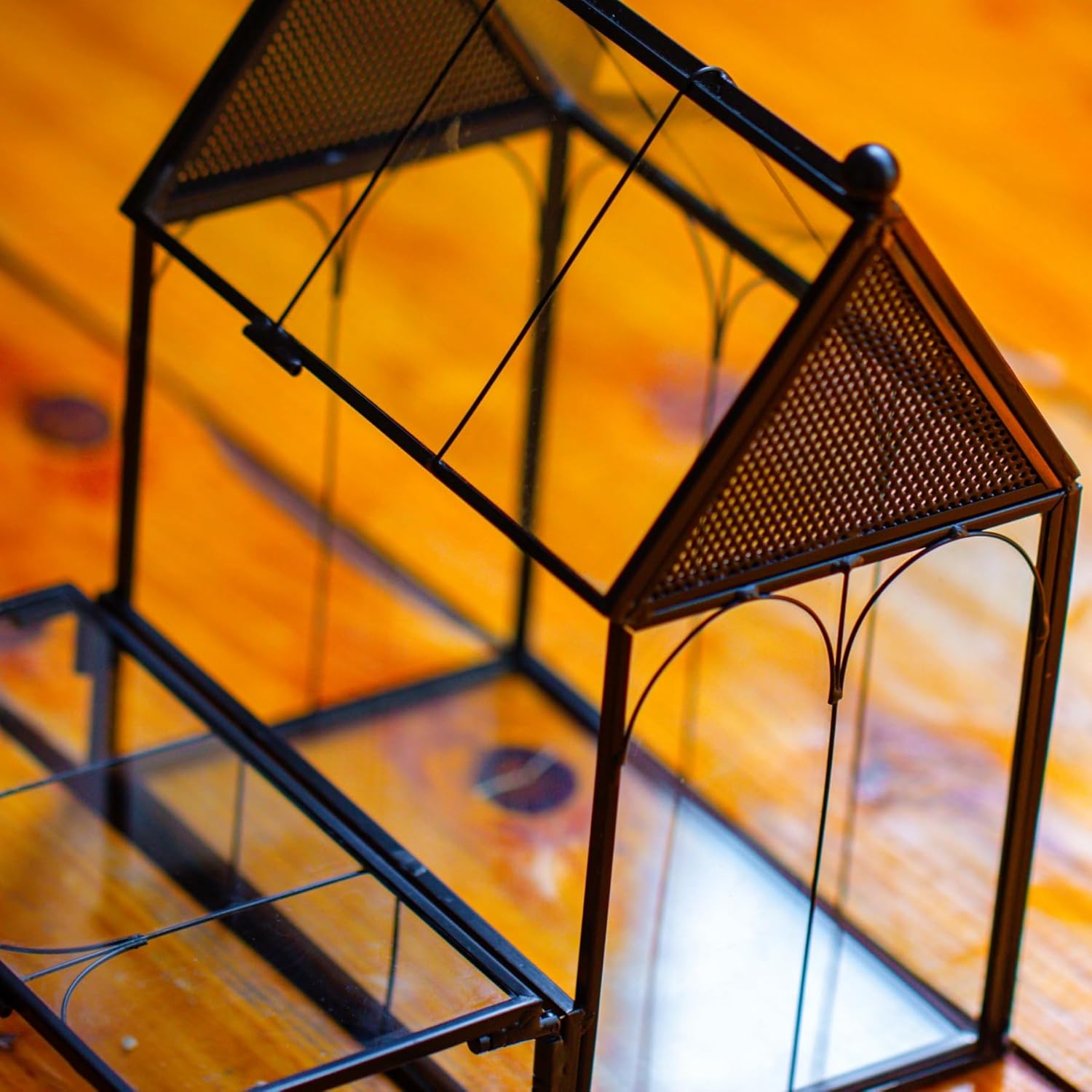 Thumbnail 5 de NCYP Small Glass Terrarium Enclosure with Mesh for Jumping Spiders (Terrarium Only) – Black, 14.7 x 9.6 x 17.8 cm