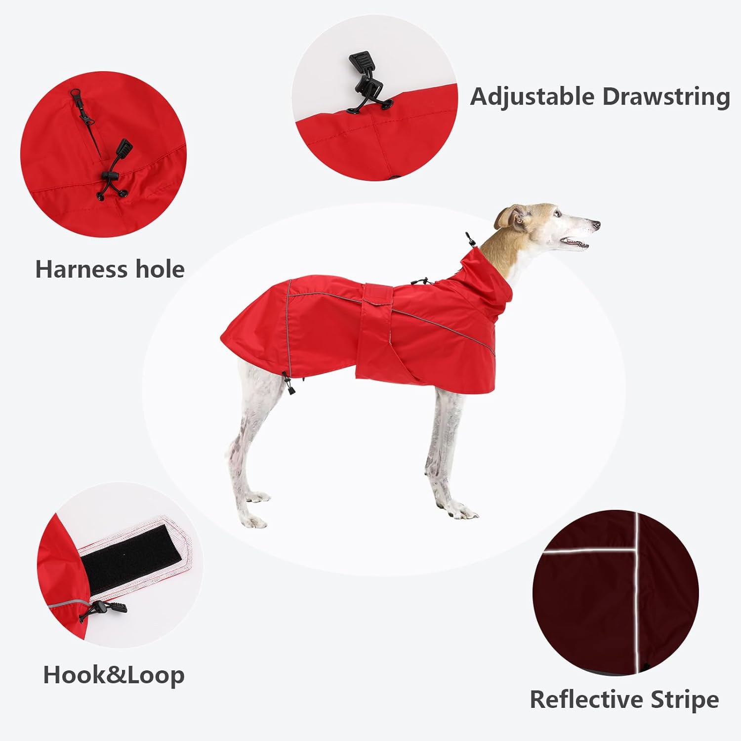 Thumbnail 2 de Greyhound Lurcher Raincoat (Whippet rain gear) in Red, reflective trim, adjustable bands – Xlarge