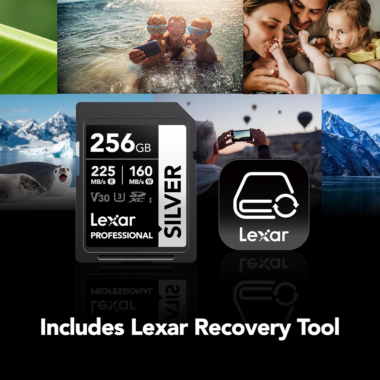 Thumbnail 6 de Lexar SD Memory Card 256GB