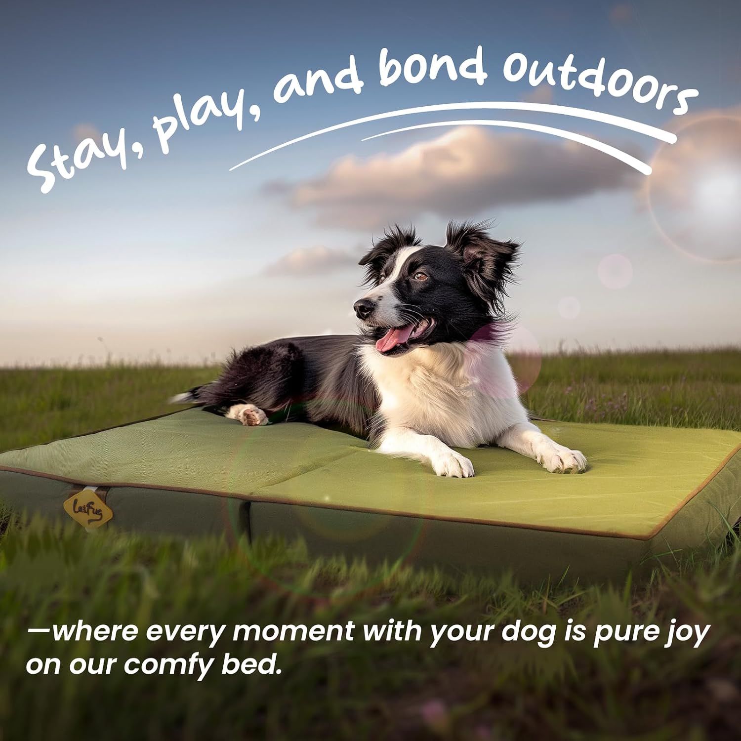 Thumbnail 6 de Laifug Foldable Outdoor Dog Bed 36 x 27 x 3.5 inches