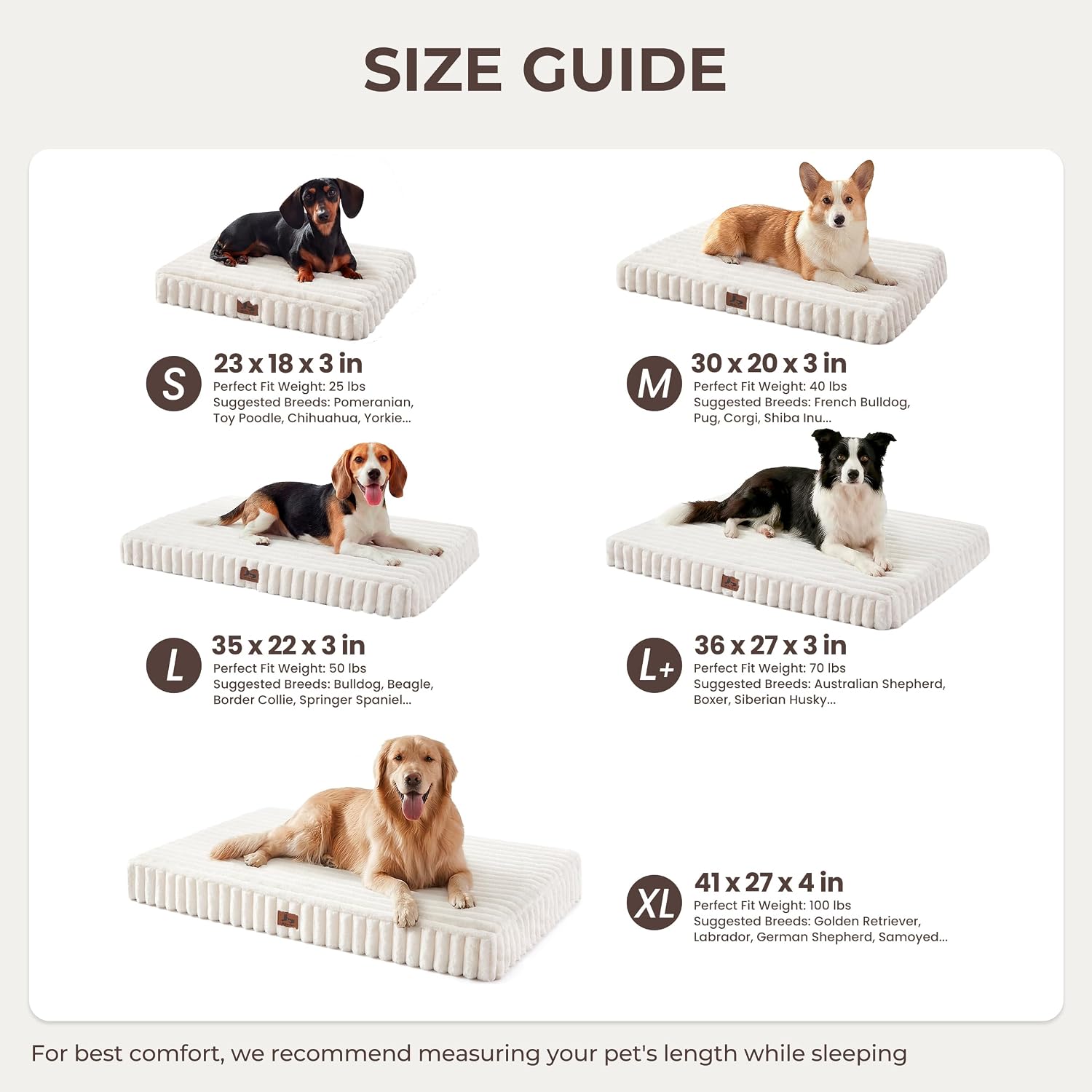 Detalle 2 de Warmrest WR-PET12 Orthopedic Dog Bed, 36 x 27 x 3-Inch Egg-Crate Foam, Cream